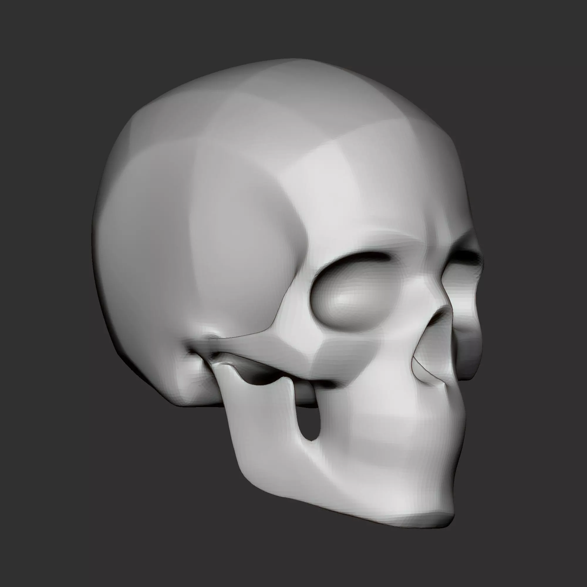 High Poly Human Skull Base Mesh Anatomy Study Model 3D print model_1