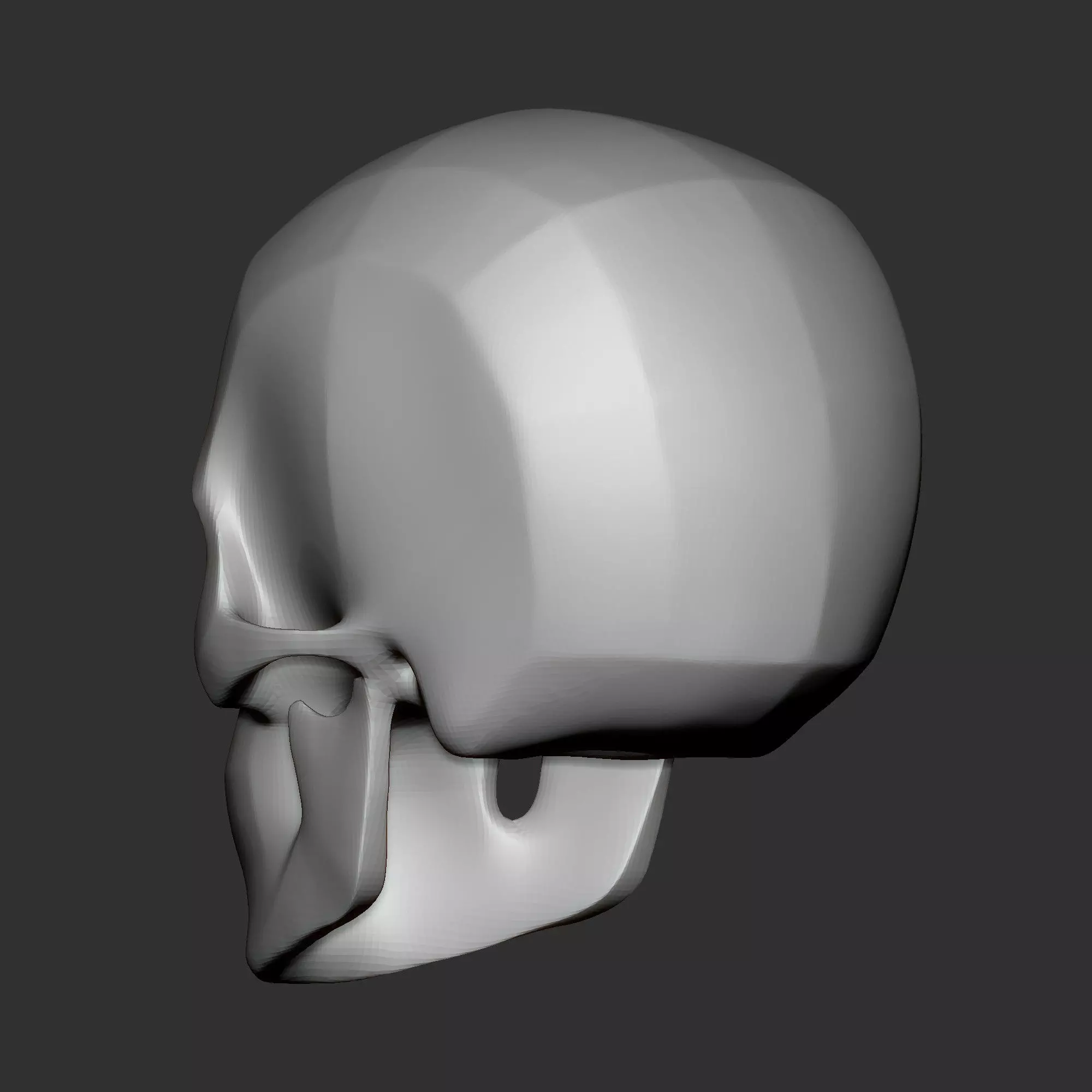 High Poly Human Skull Base Mesh Anatomy Study Model 3D print model_6