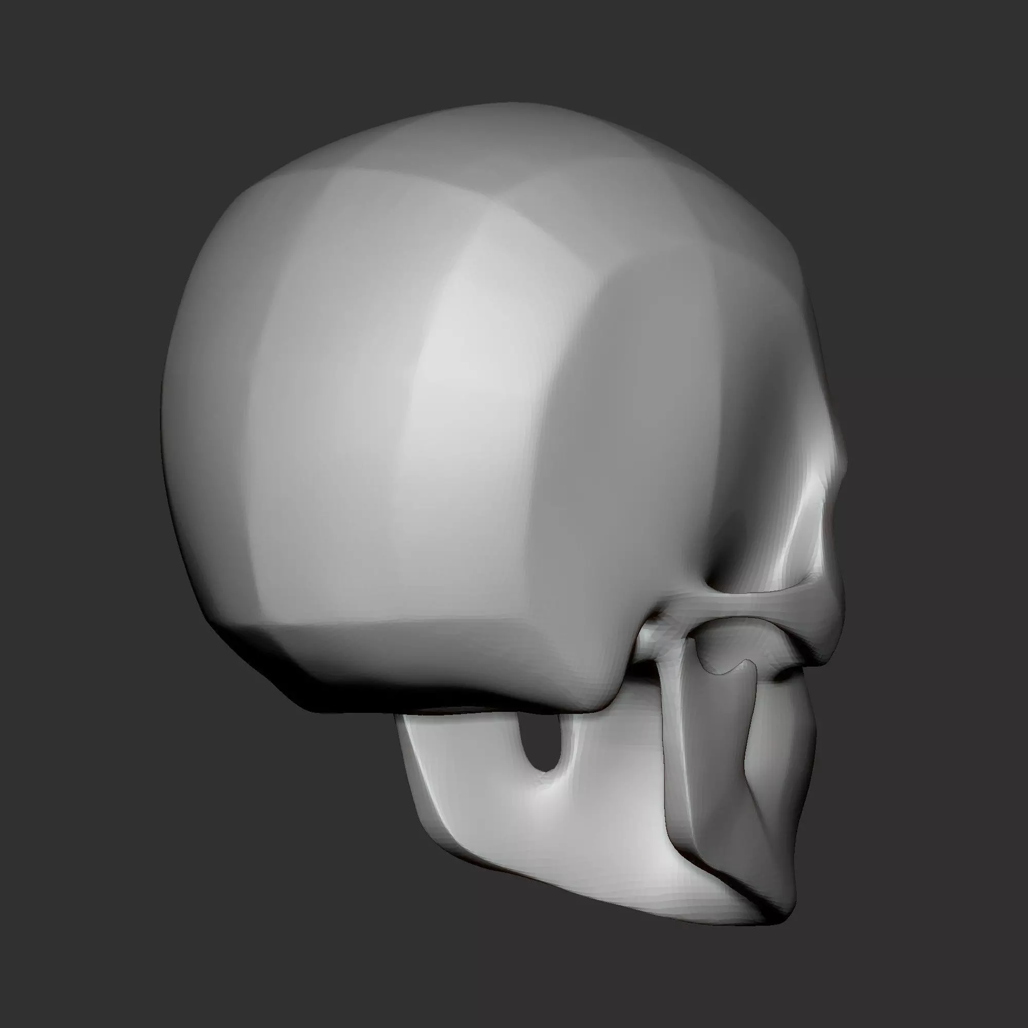 High Poly Human Skull Base Mesh Anatomy Study Model 3D print model_4