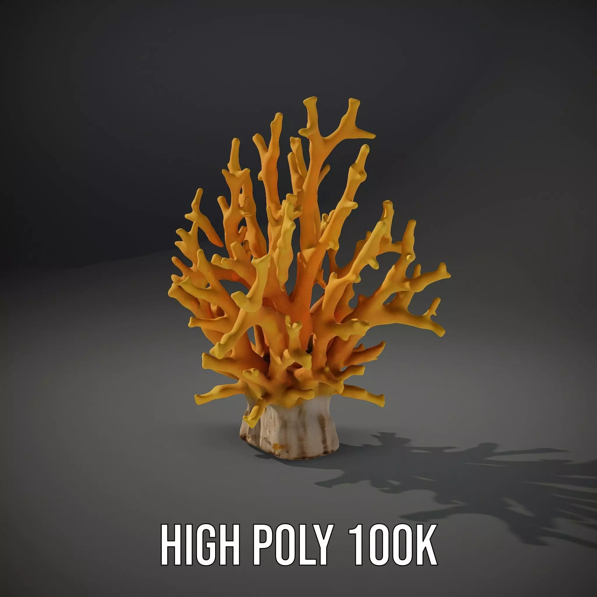 Vibrant Coral Reef model pack Low-poly 3D model_8
