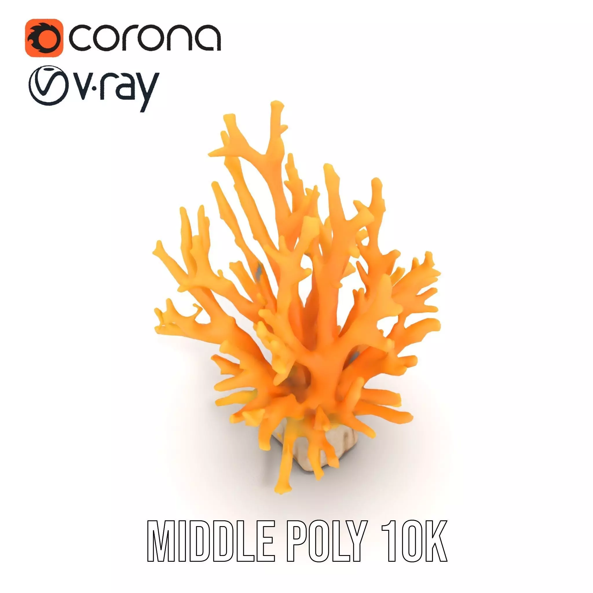Vibrant Coral Reef model pack Low-poly 3D model_21