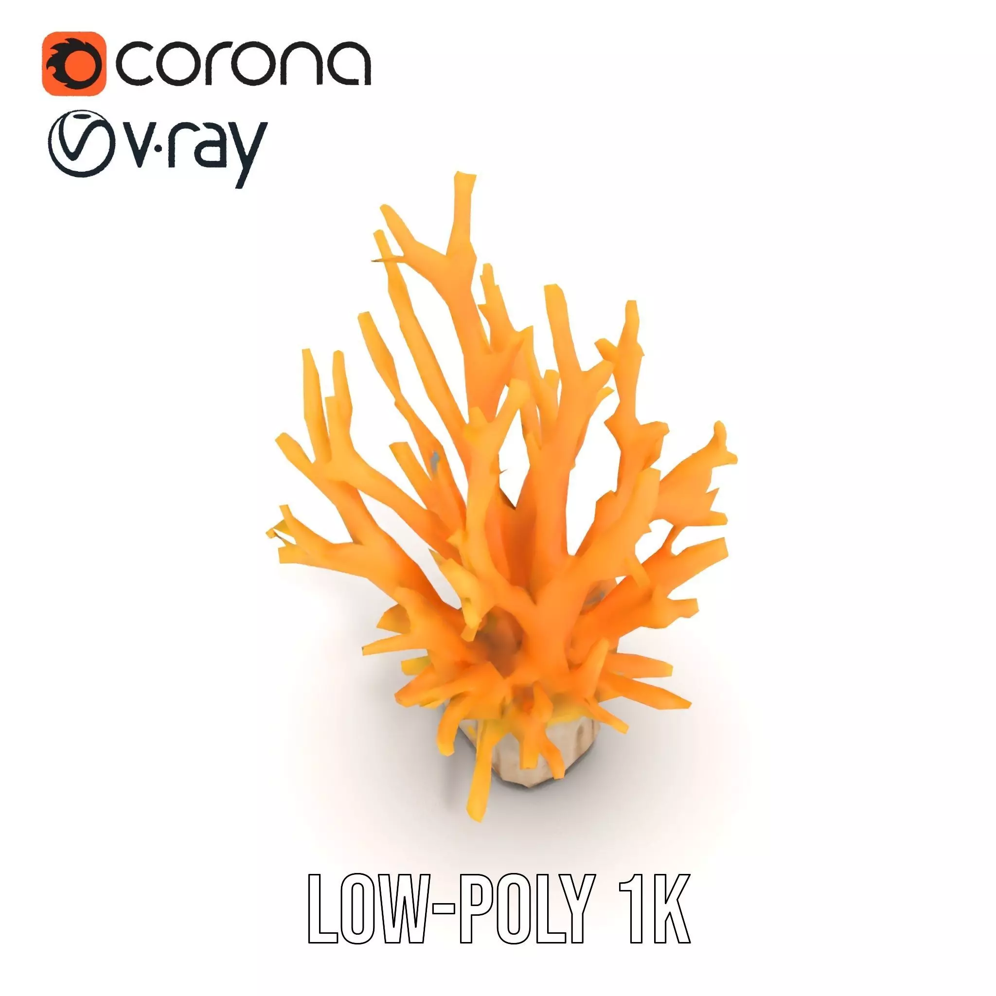 Vibrant Coral Reef model pack Low-poly 3D model_9