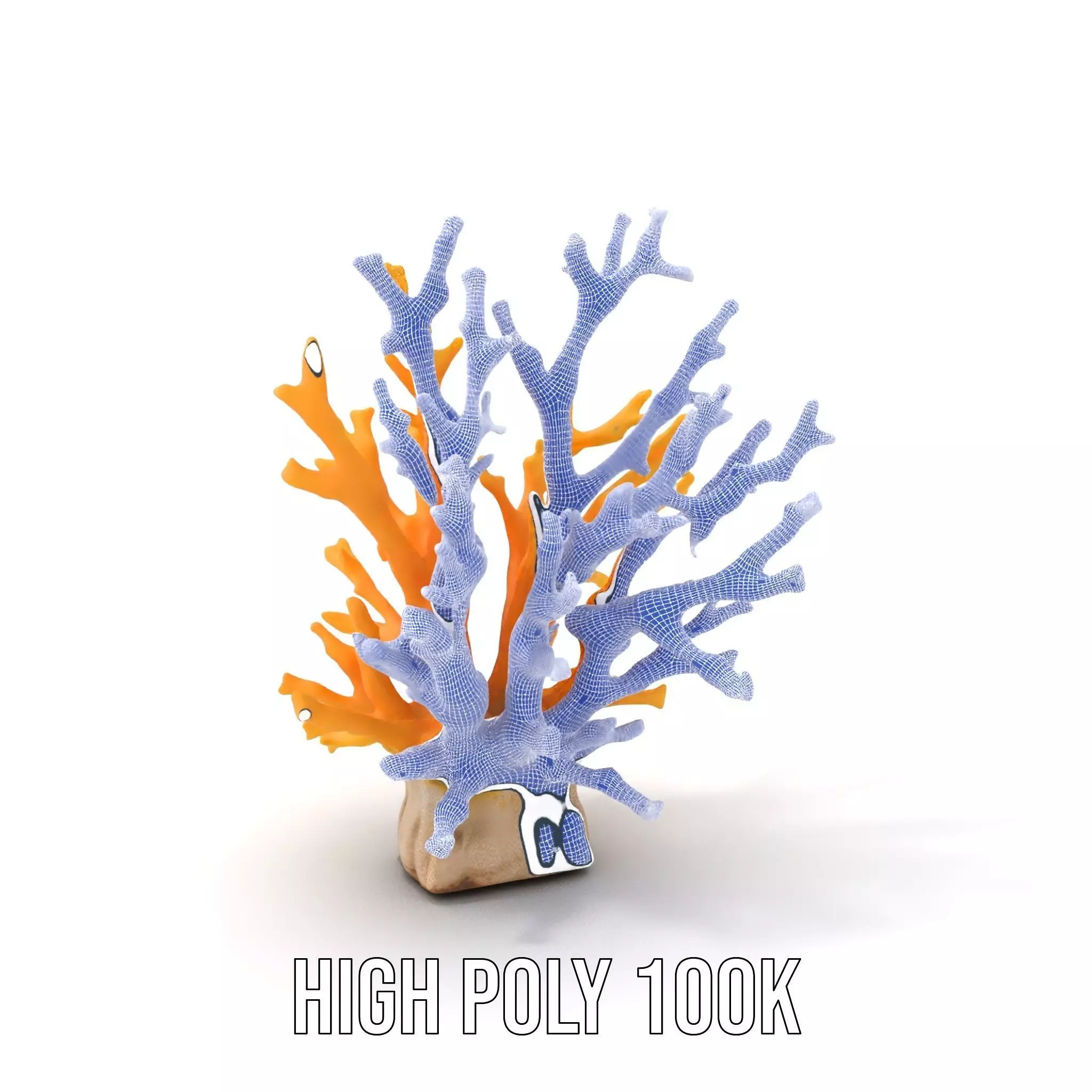 Vibrant Coral Reef model pack Low-poly 3D model_4