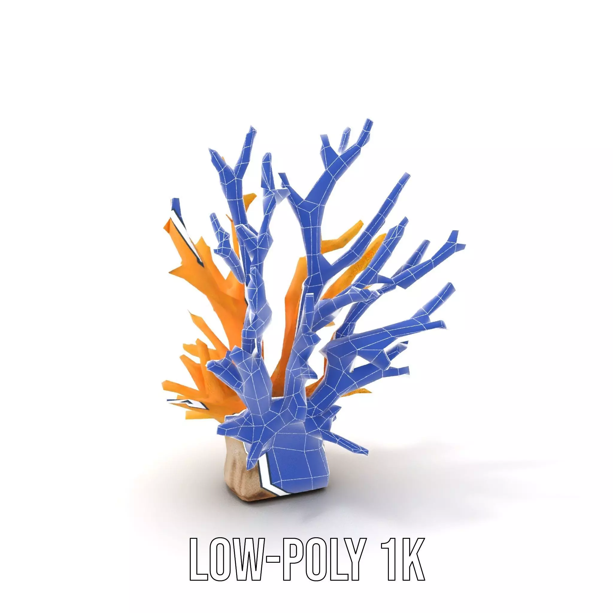 Vibrant Coral Reef model pack Low-poly 3D model_19