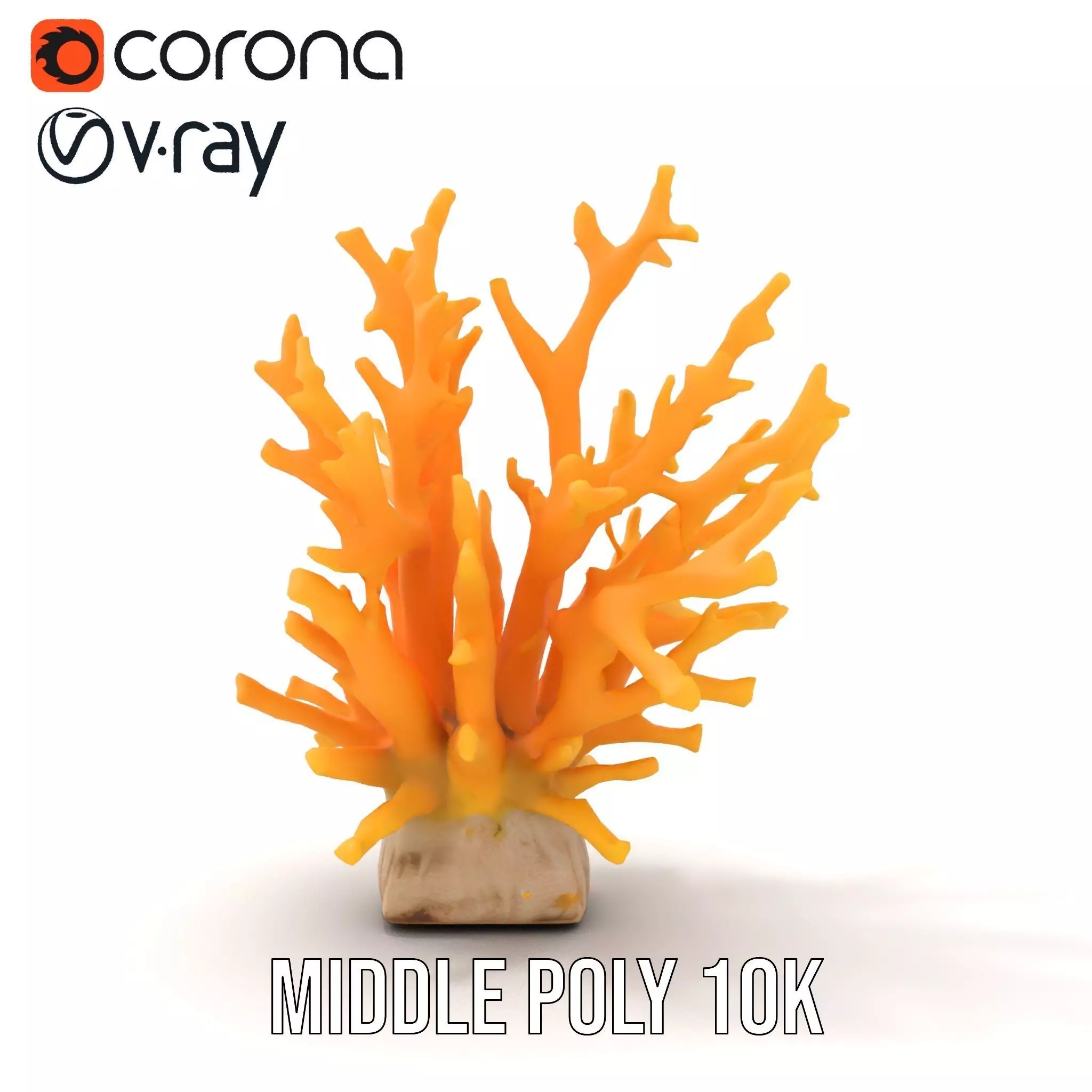 Vibrant Coral Reef model pack Low-poly 3D model_11