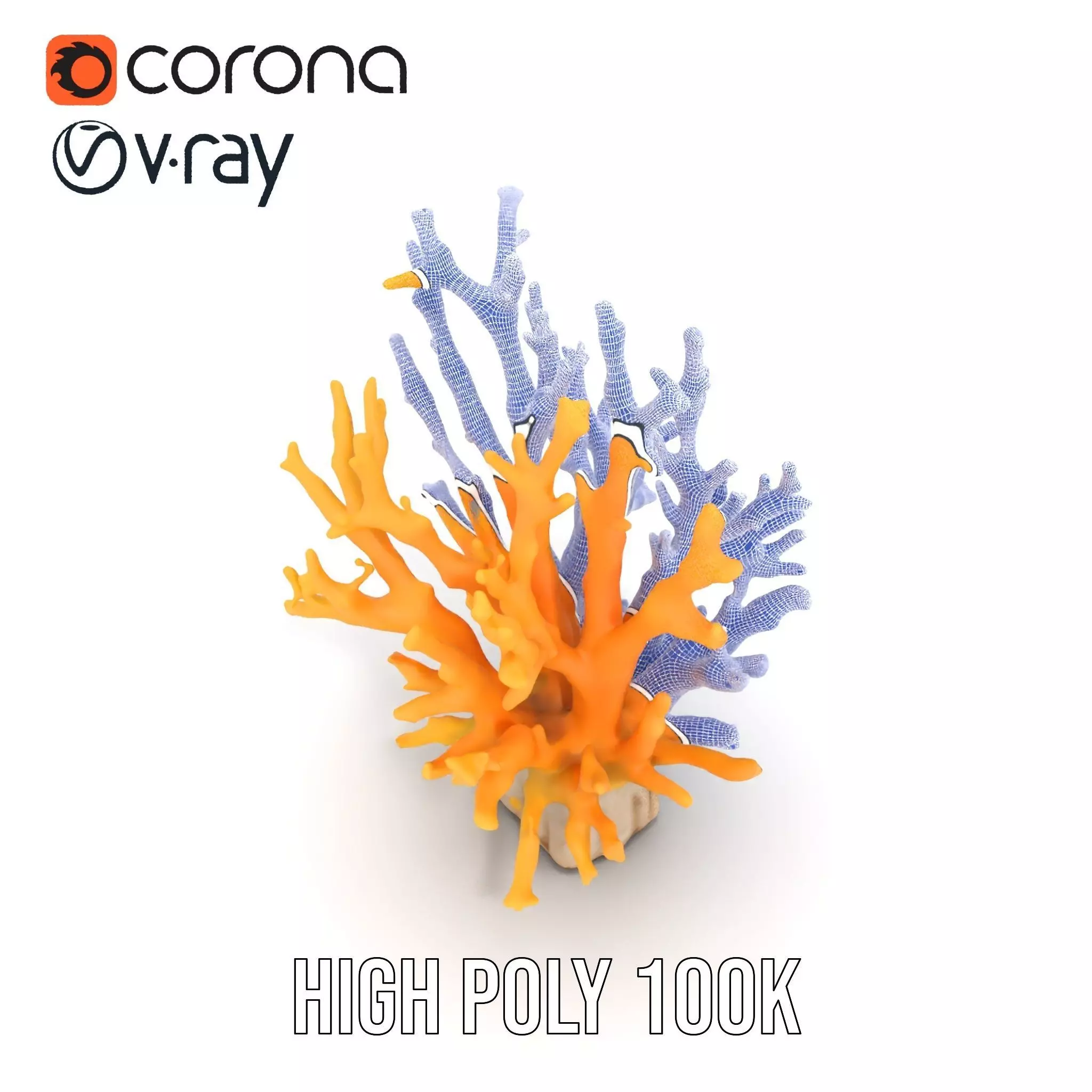 Vibrant Coral Reef model pack Low-poly 3D model_32