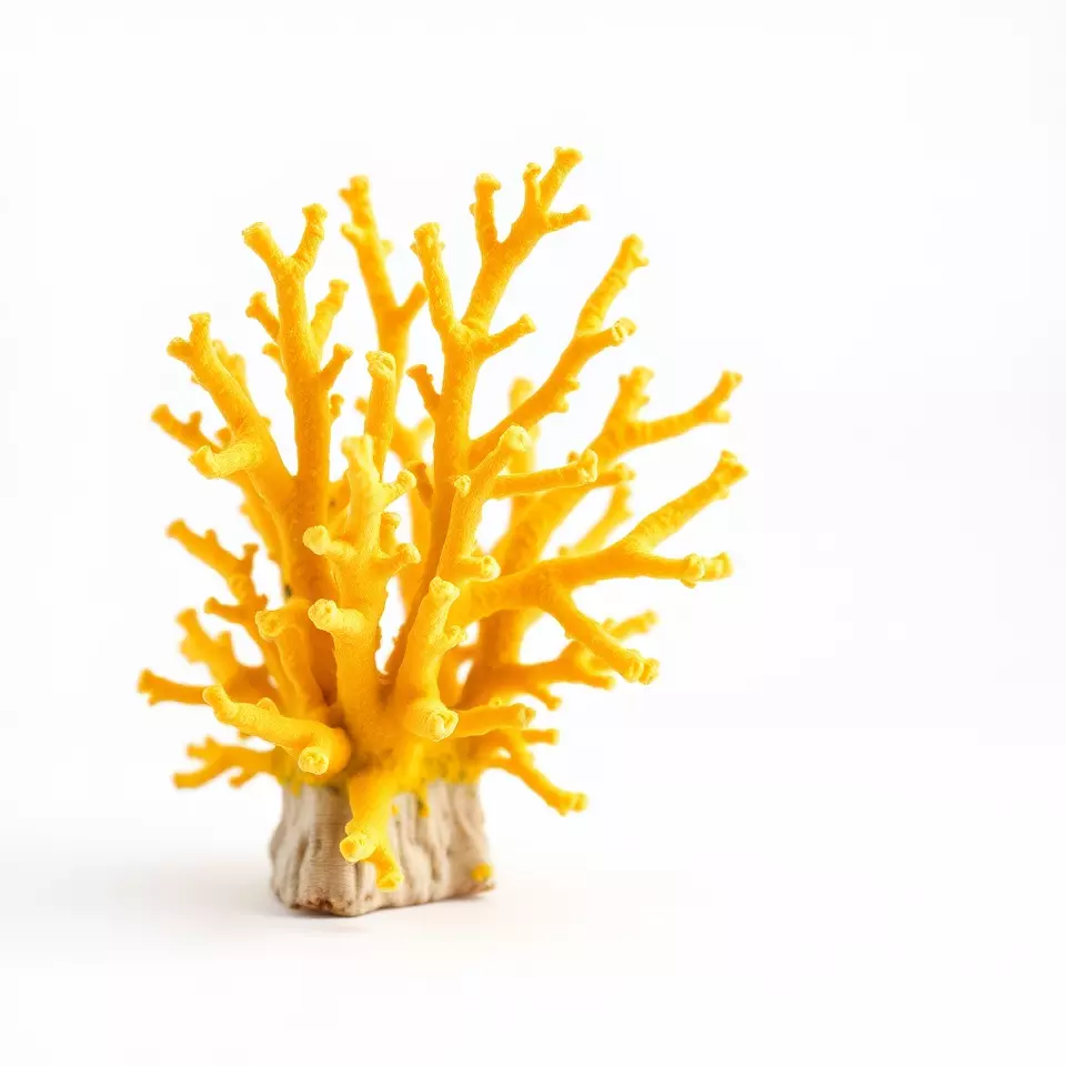 Vibrant Coral Reef model pack Low-poly 3D model_2