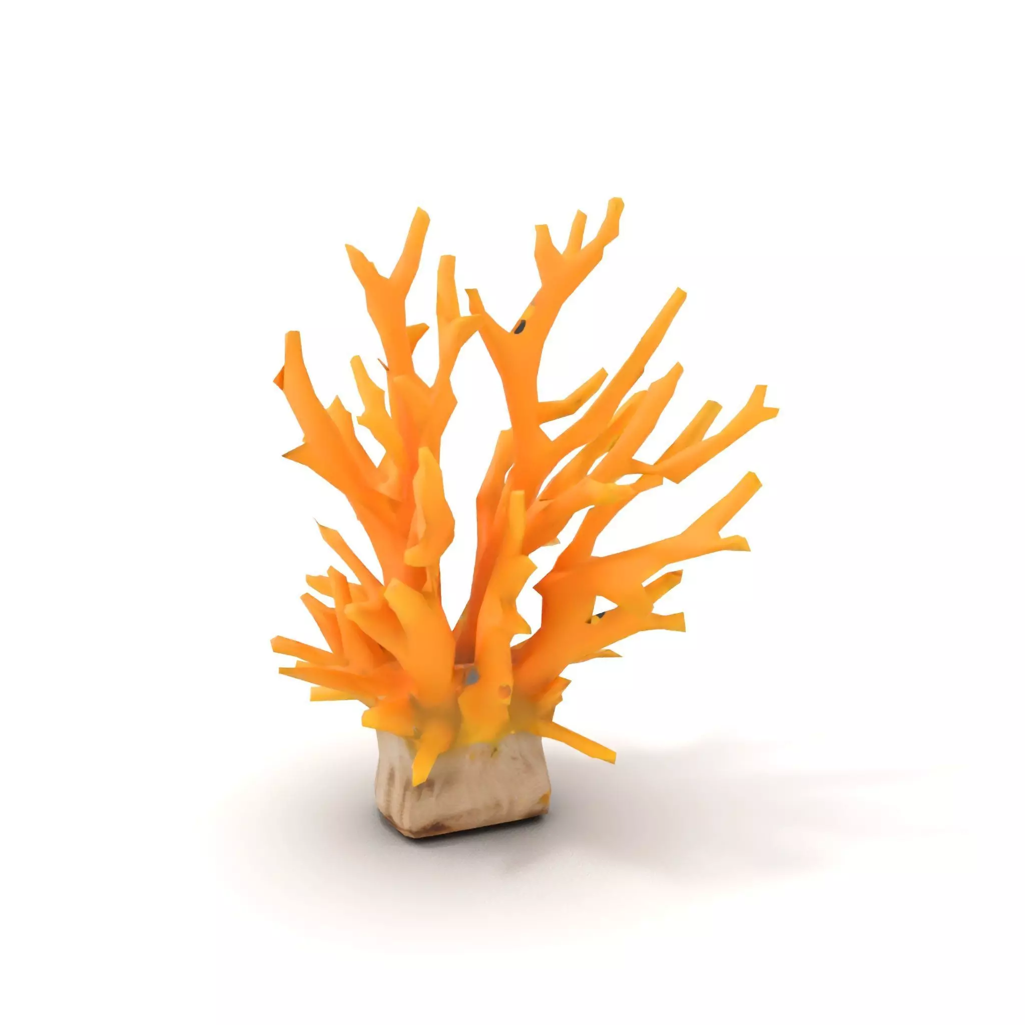 Vibrant Coral Reef model pack Low-poly 3D model_14