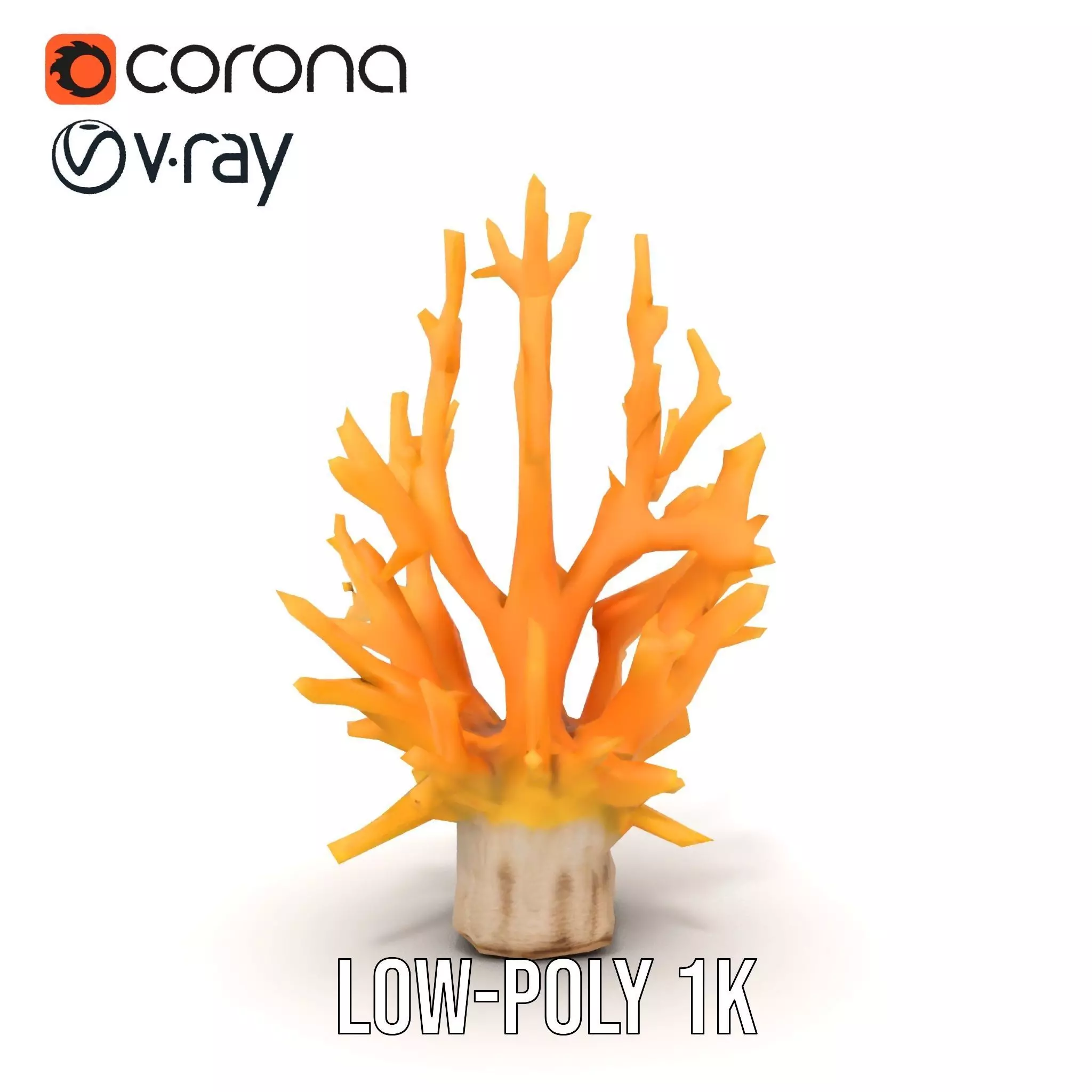 Vibrant Coral Reef model pack Low-poly 3D model_22