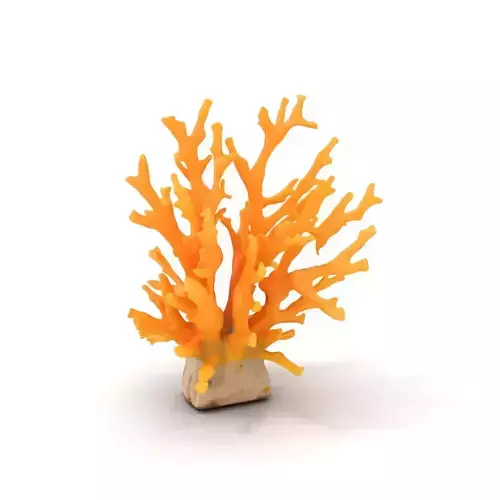 Vibrant Coral Reef model pack Low-poly 3D model