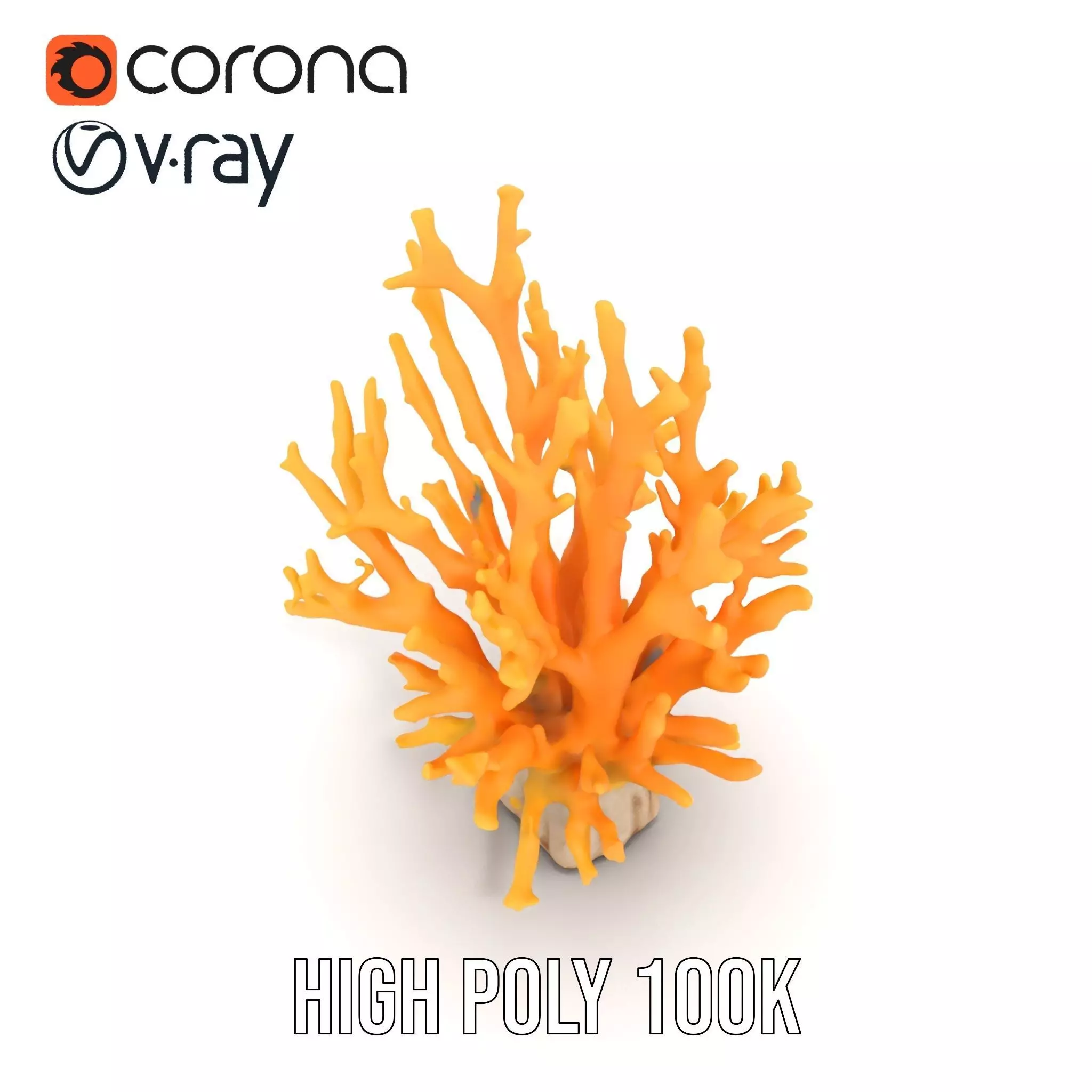 Vibrant Coral Reef model pack Low-poly 3D model_20