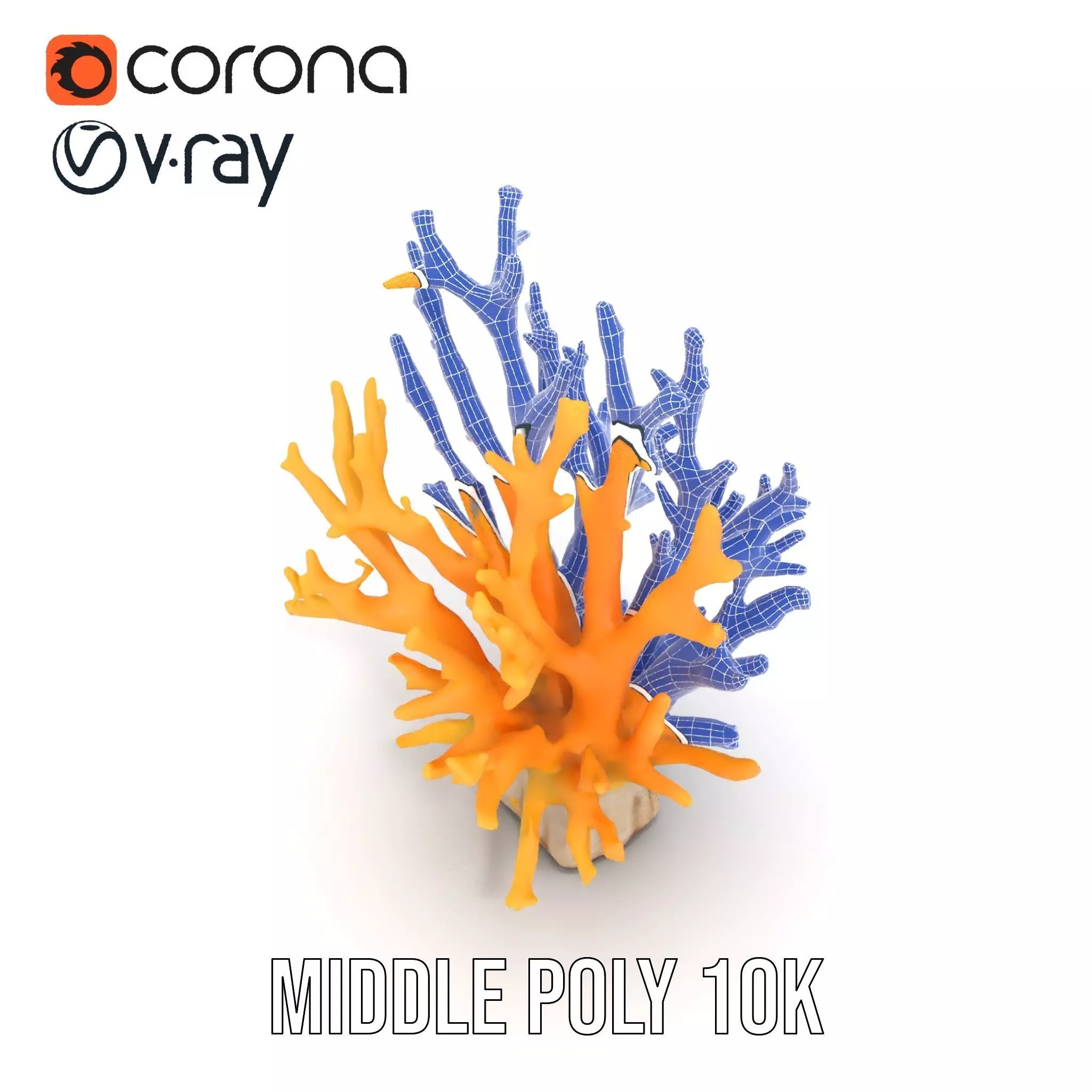 Vibrant Coral Reef model pack Low-poly 3D model_24
