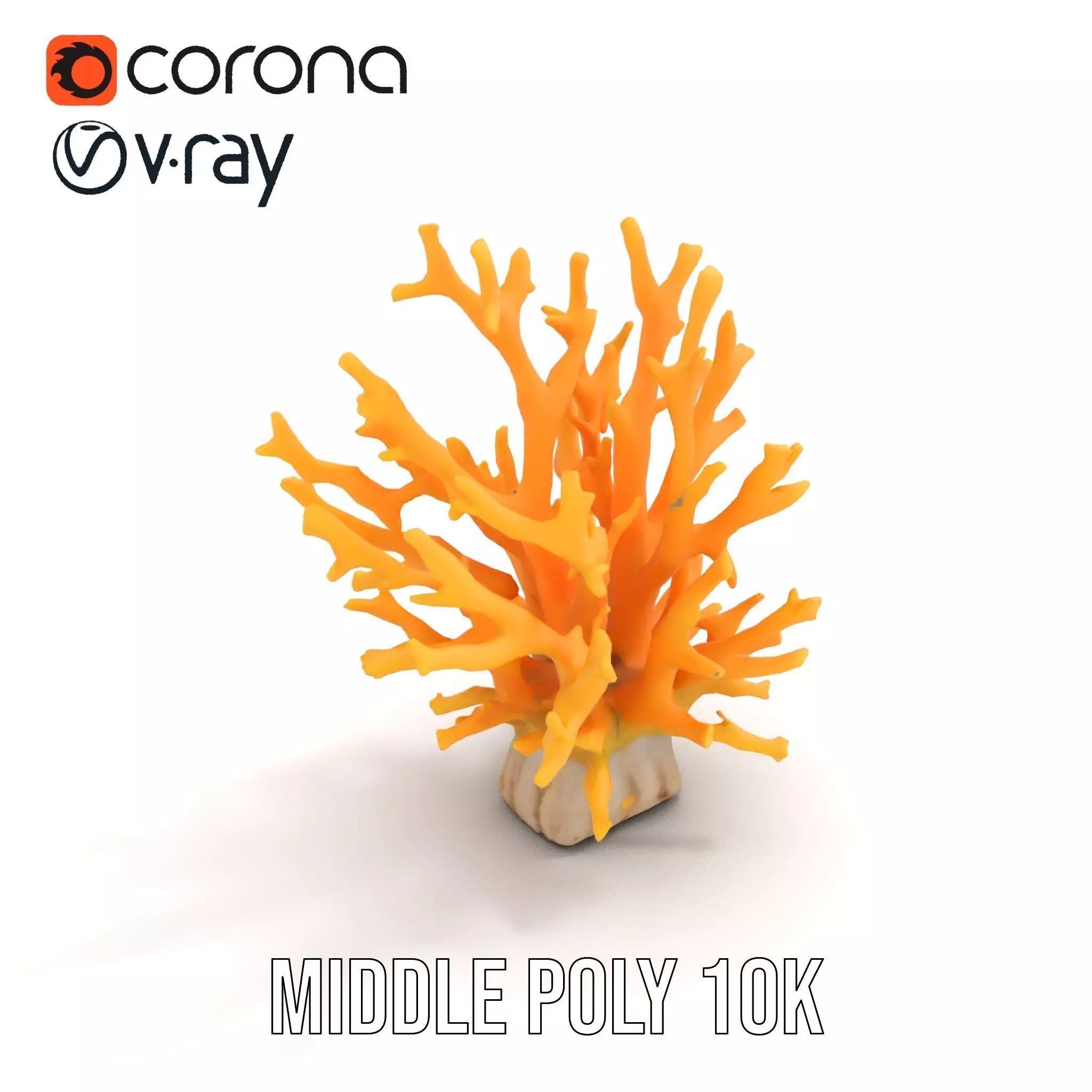 Vibrant Coral Reef model pack Low-poly 3D model_5