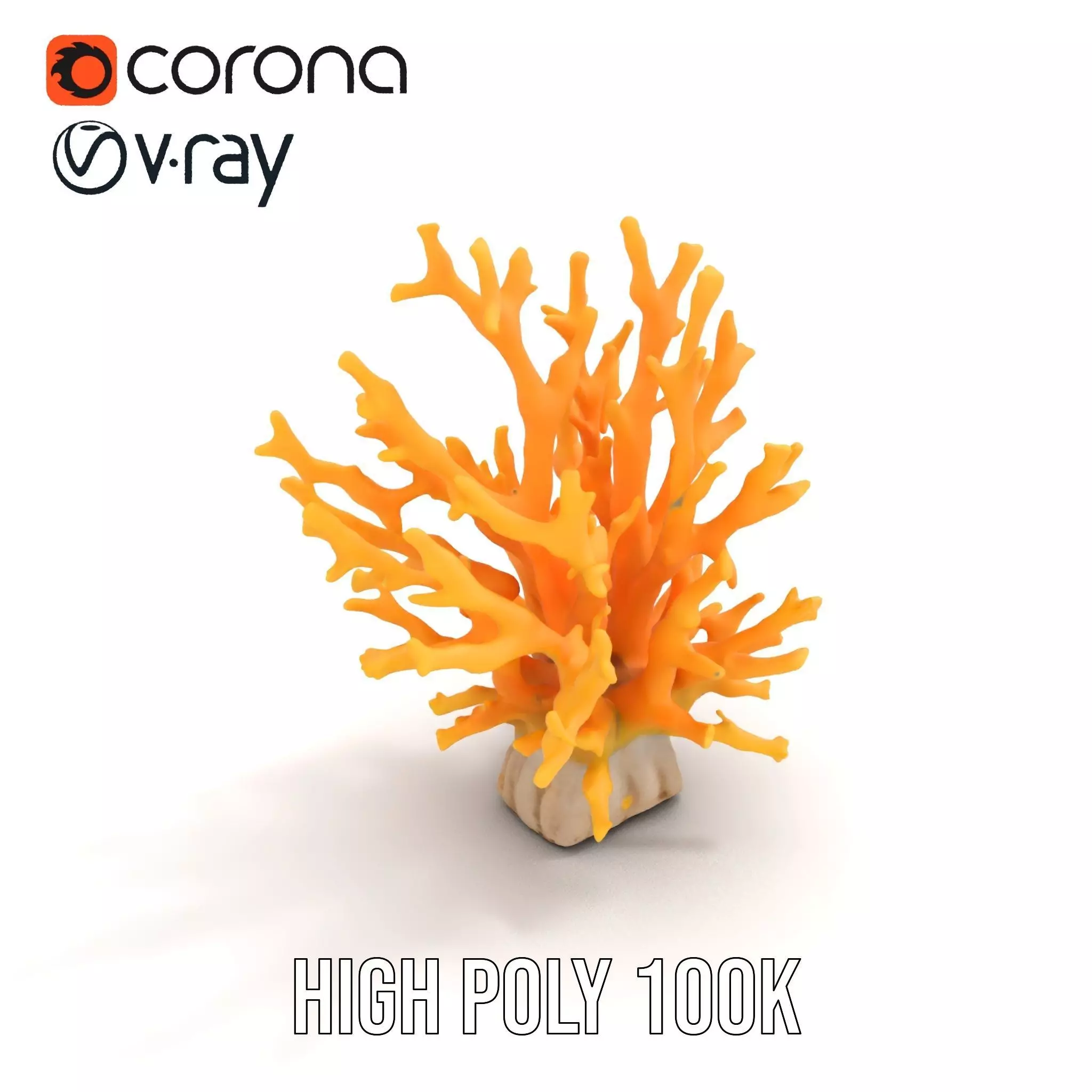 Vibrant Coral Reef model pack Low-poly 3D model_17