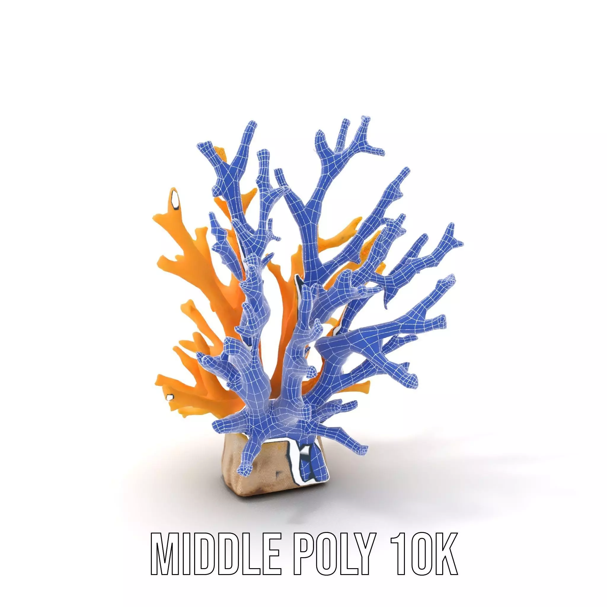 Vibrant Coral Reef model pack Low-poly 3D model_6