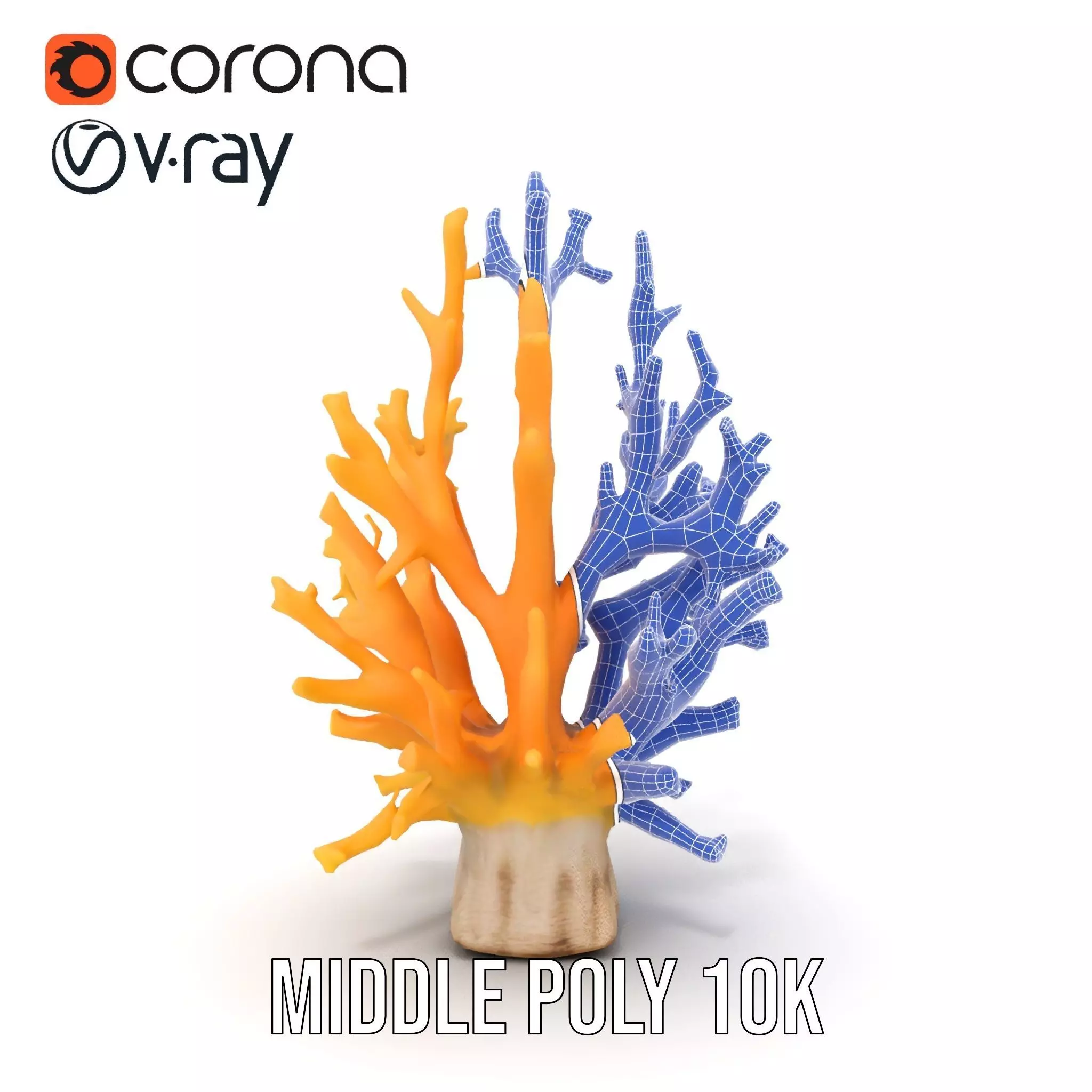 Vibrant Coral Reef model pack Low-poly 3D model_30