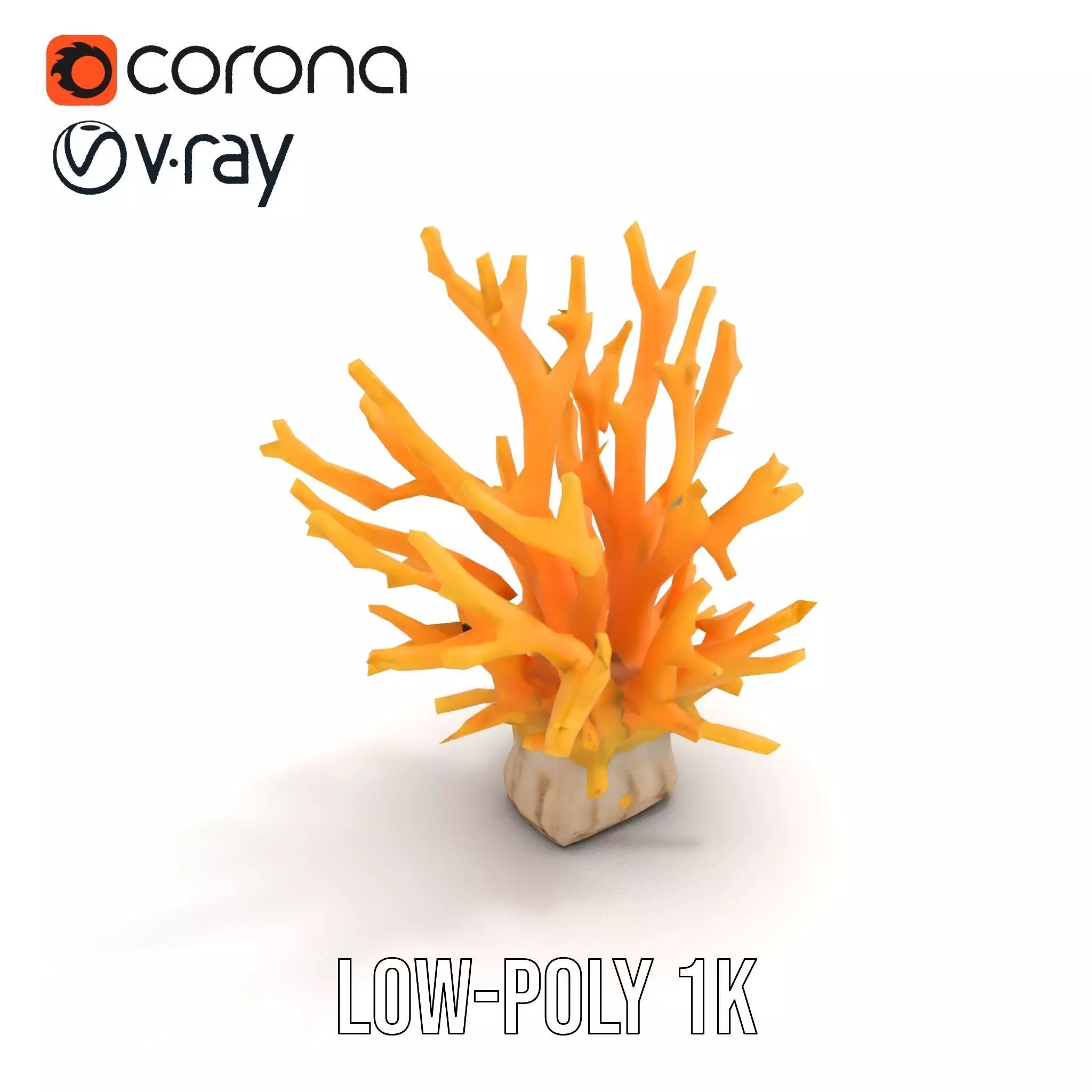 Vibrant Coral Reef model pack Low-poly 3D model_7