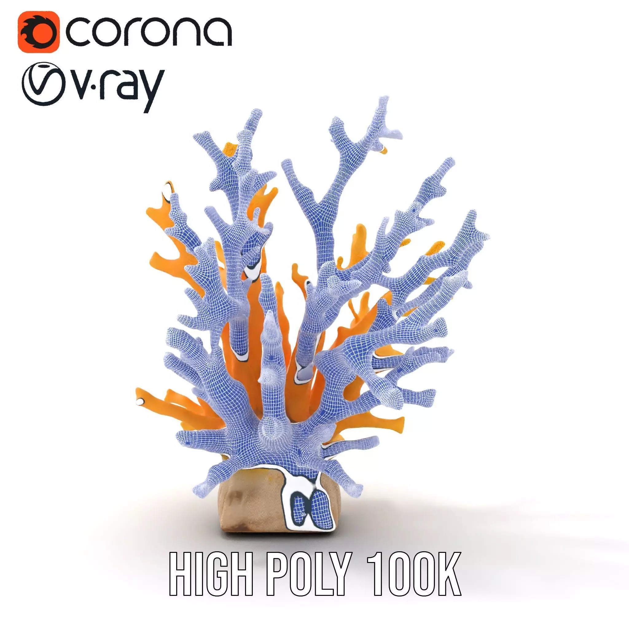 Vibrant Coral Reef model pack Low-poly 3D model_33