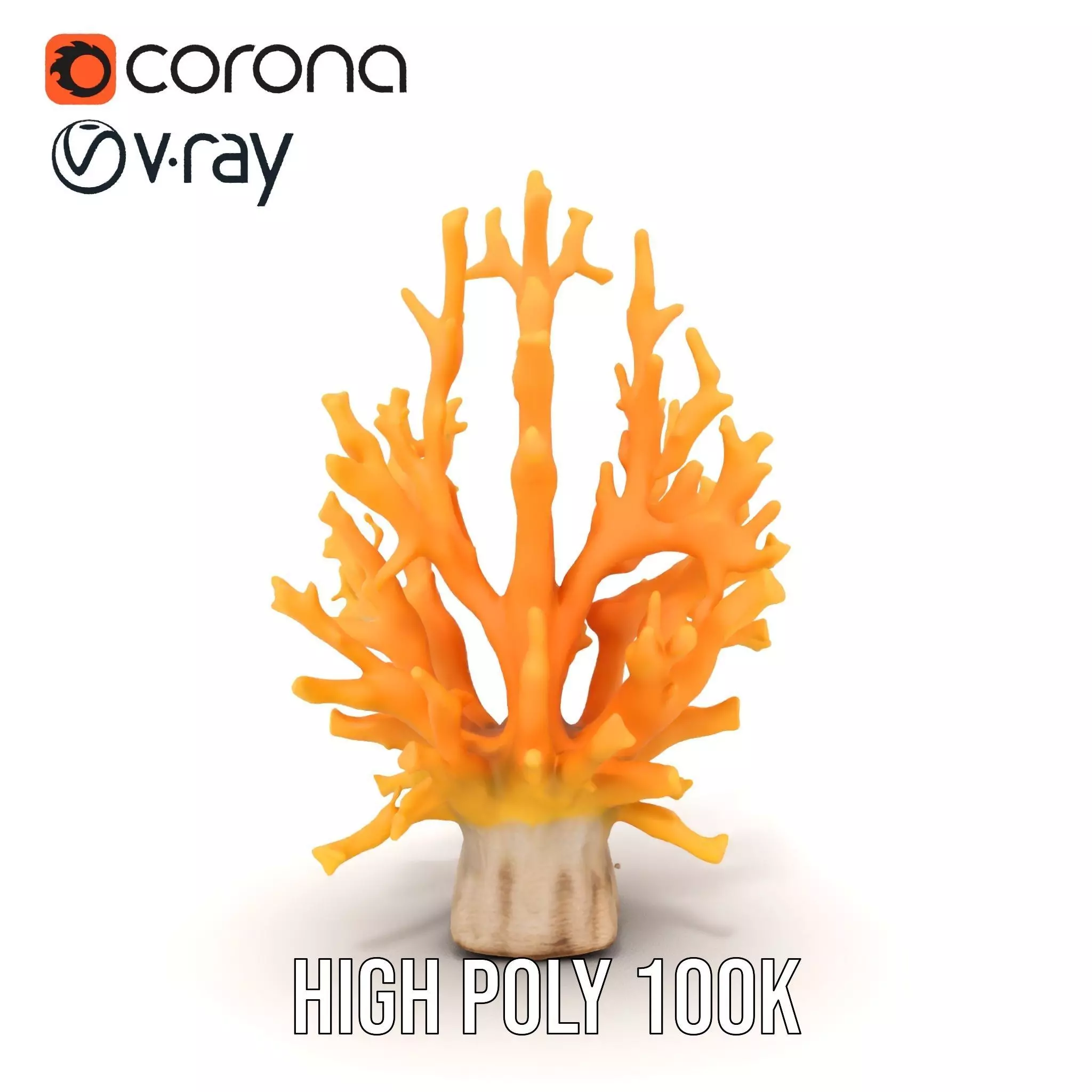 Vibrant Coral Reef model pack Low-poly 3D model_29