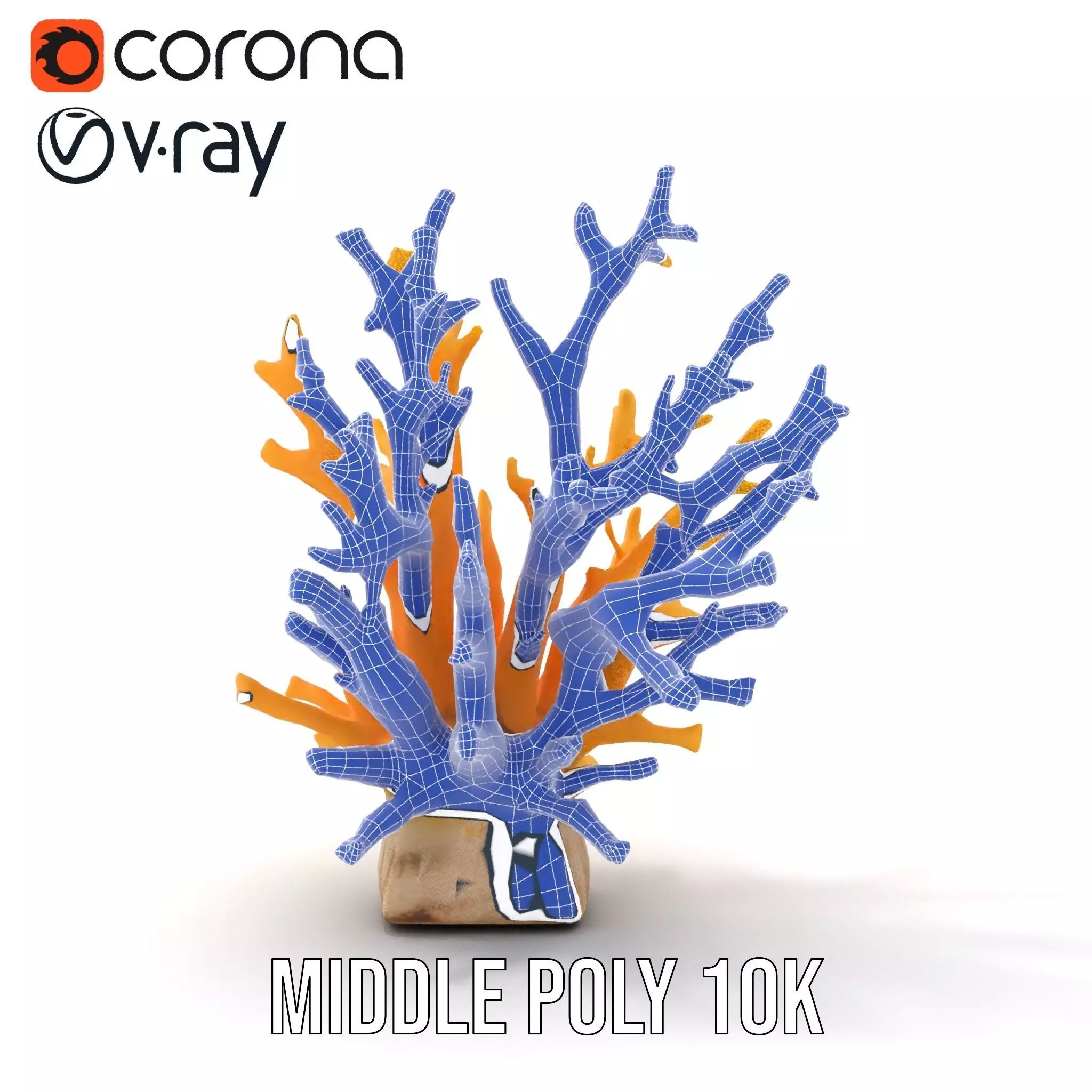 Vibrant Coral Reef model pack Low-poly 3D model_27