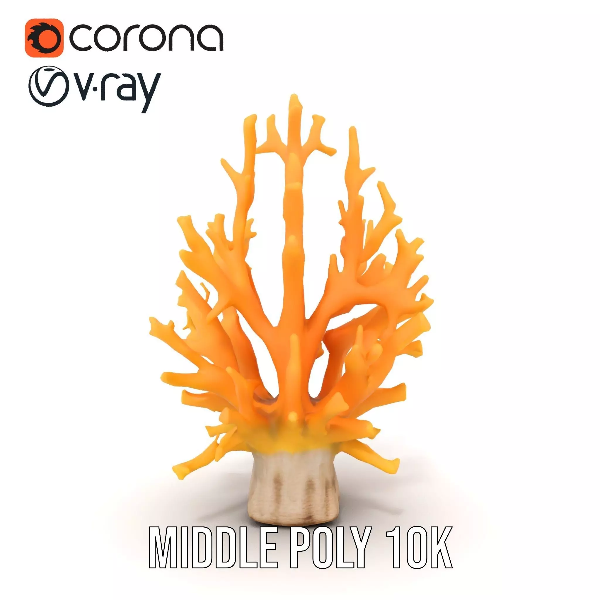 Vibrant Coral Reef model pack Low-poly 3D model_18