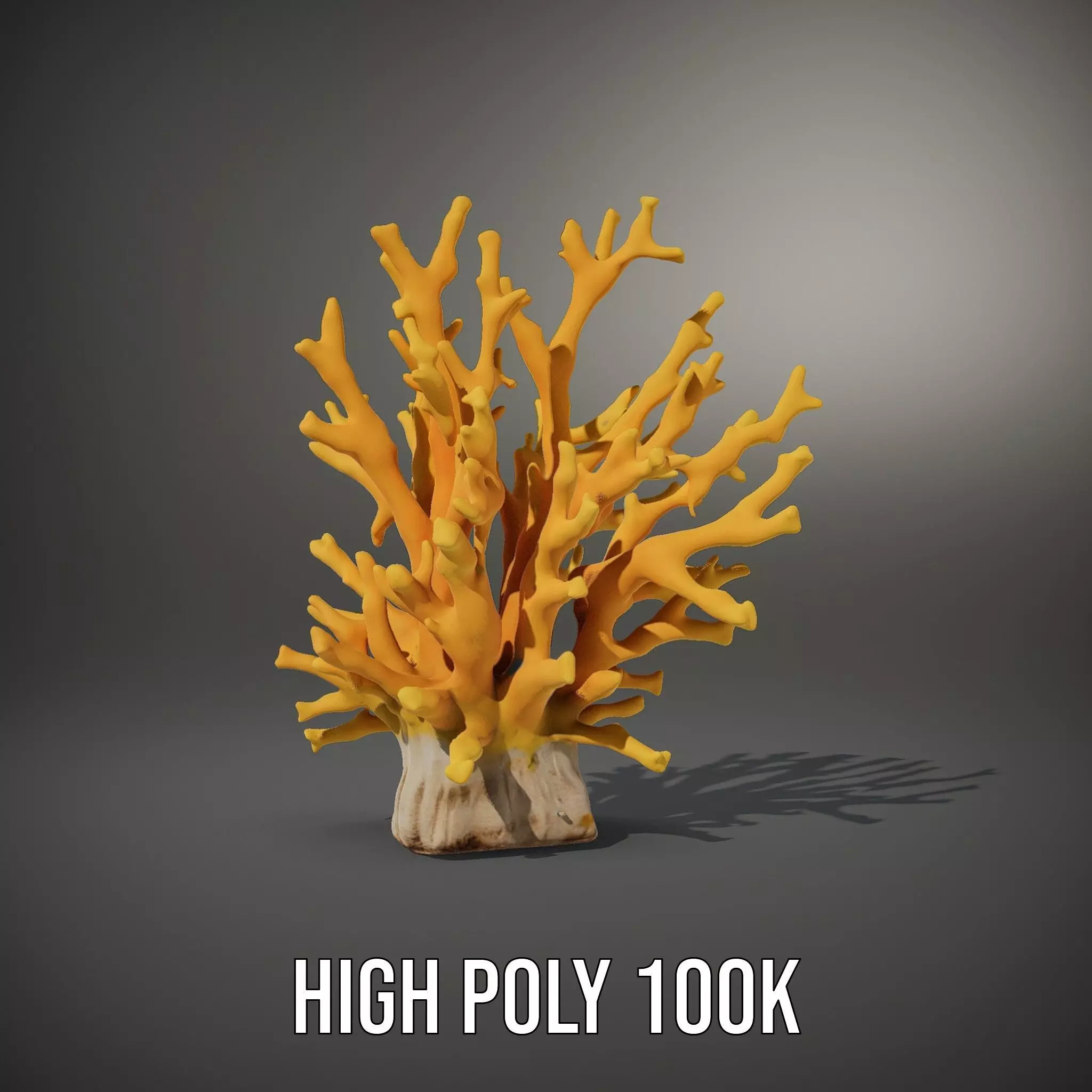 Vibrant Coral Reef model pack Low-poly 3D model_10