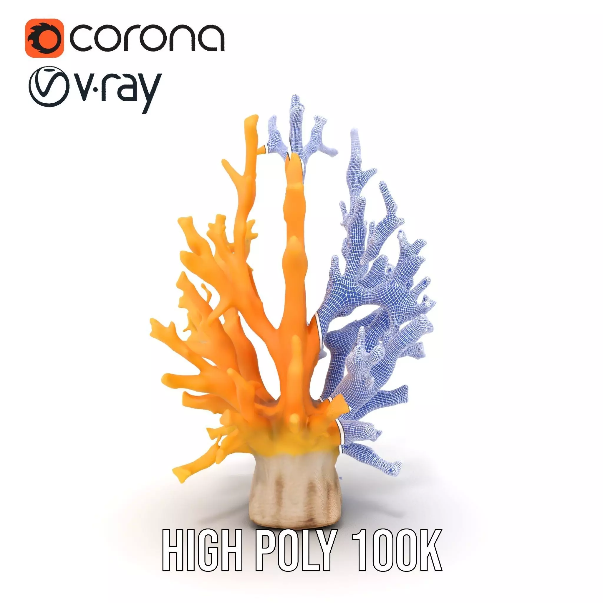 Vibrant Coral Reef model pack Low-poly 3D model_34