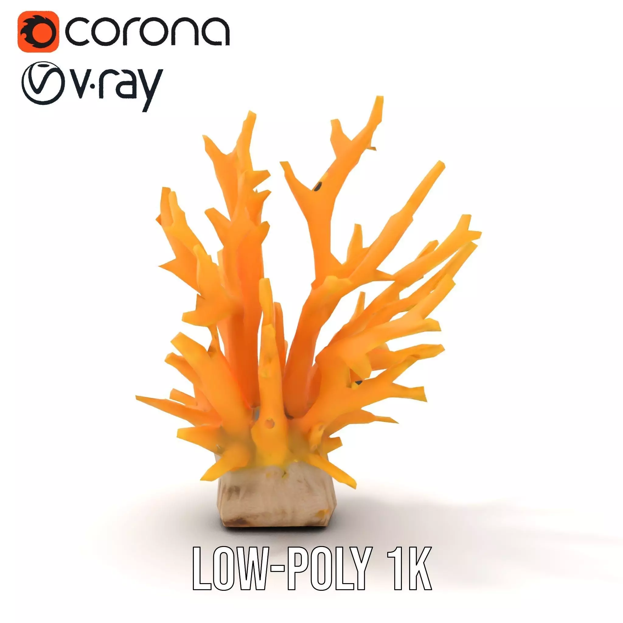 Vibrant Coral Reef model pack Low-poly 3D model_12