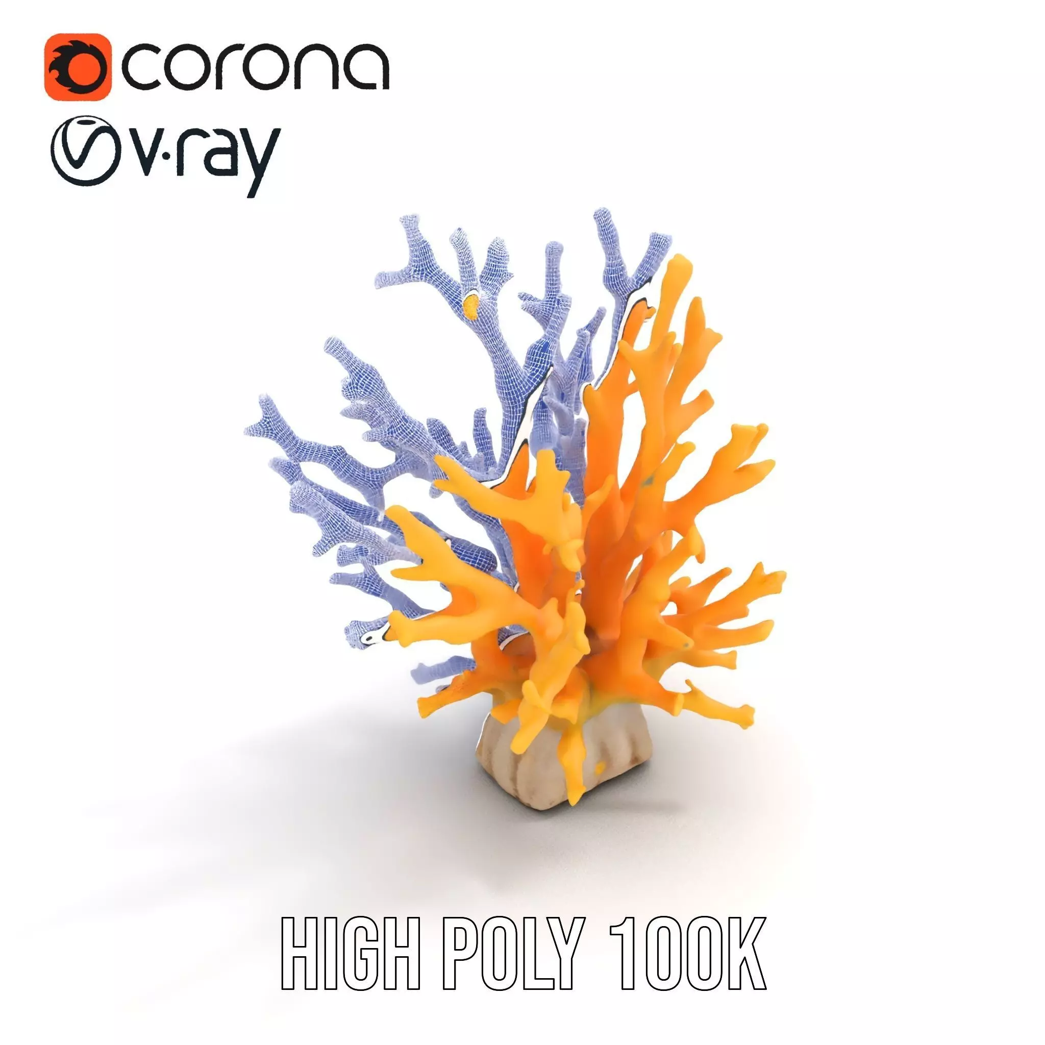 Vibrant Coral Reef model pack Low-poly 3D model_23