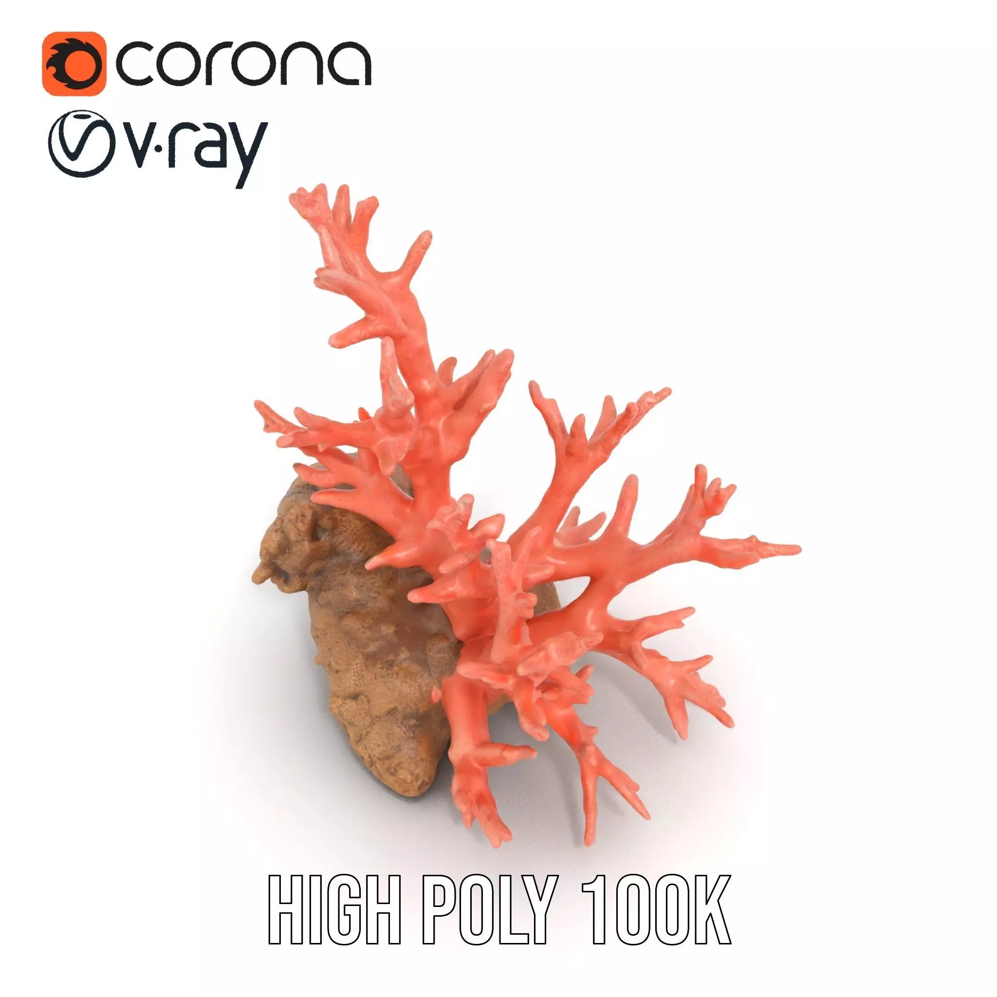 Pink Coral Reef model pack Low-poly 3D model_18