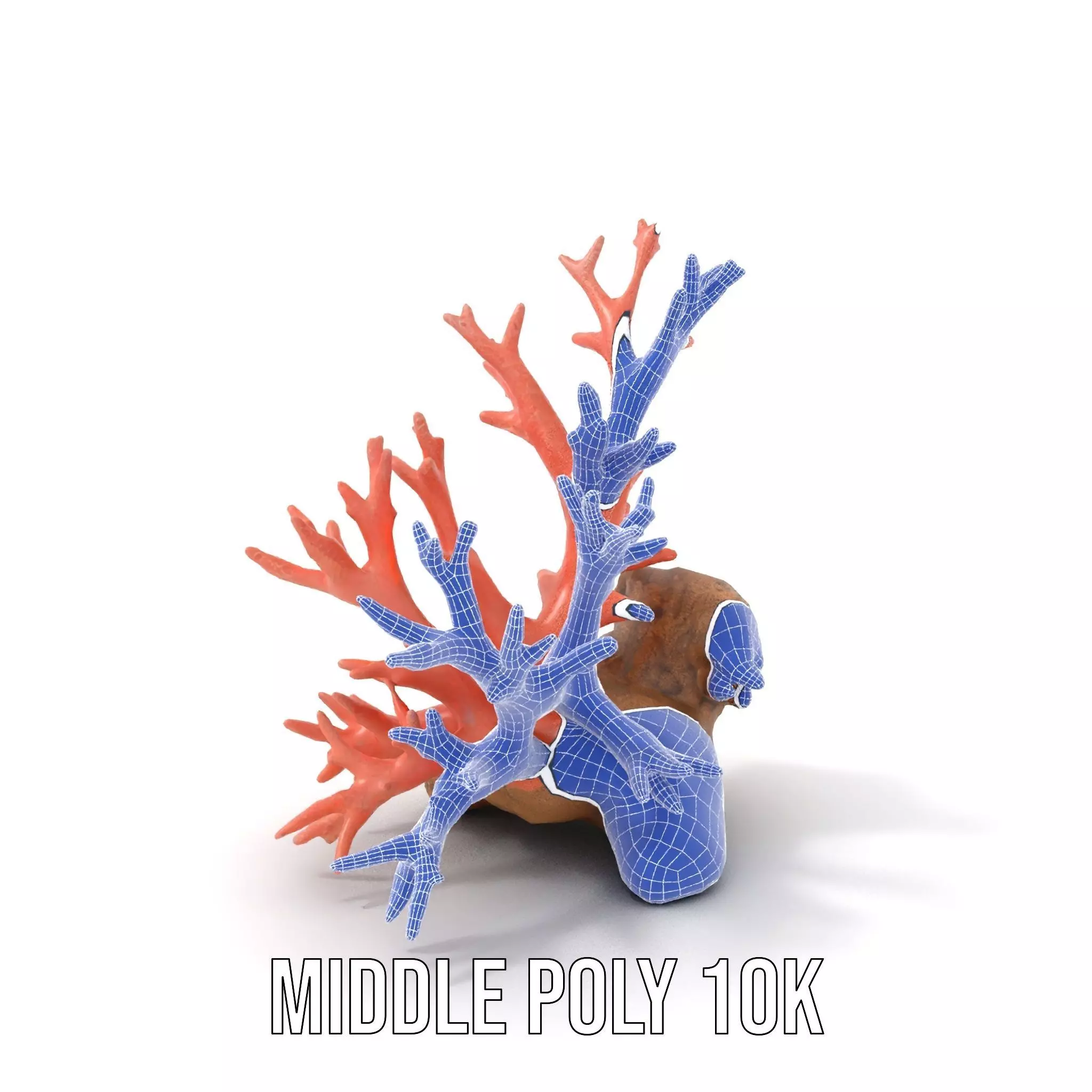 Pink Coral Reef model pack Low-poly 3D model_11