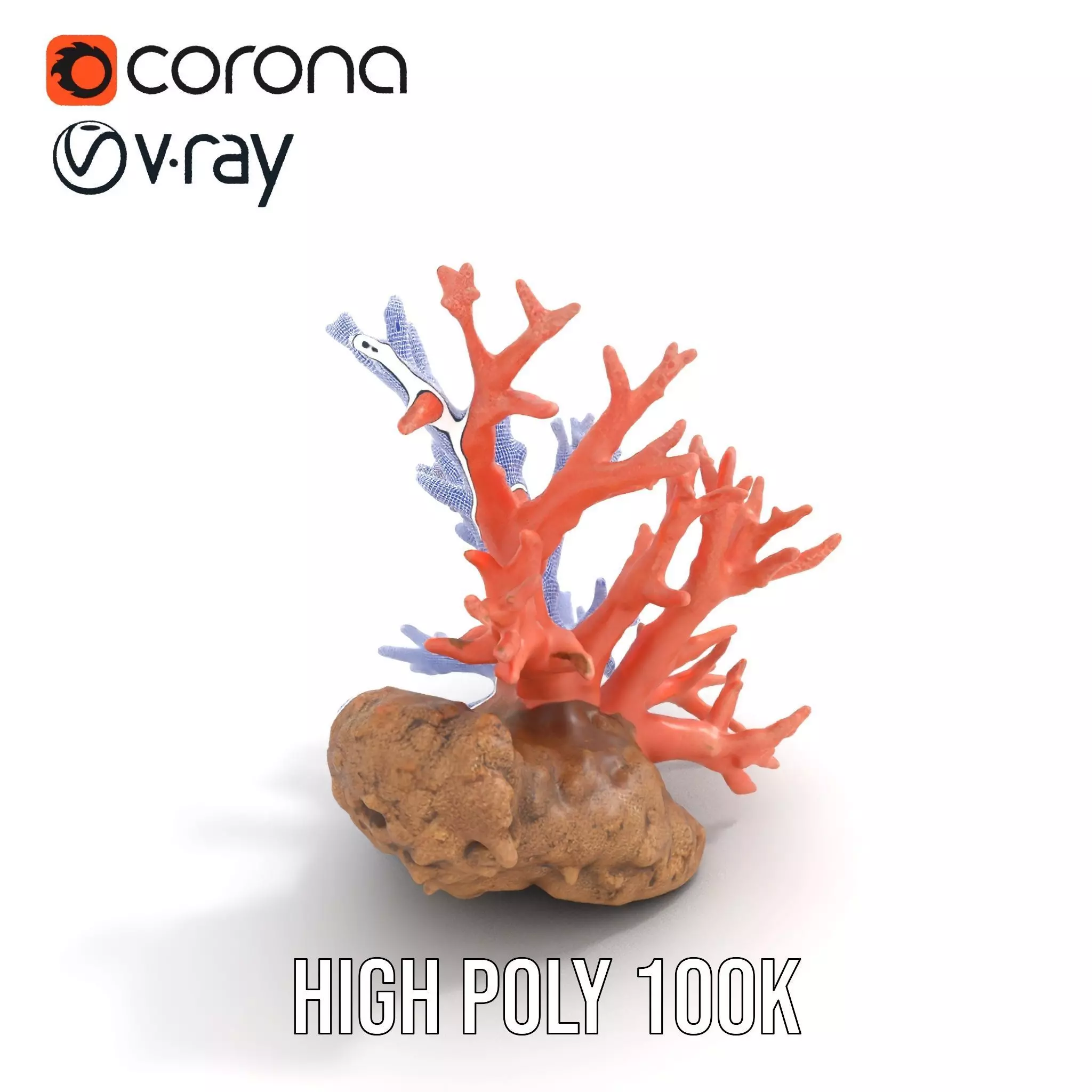 Pink Coral Reef model pack Low-poly 3D model_32