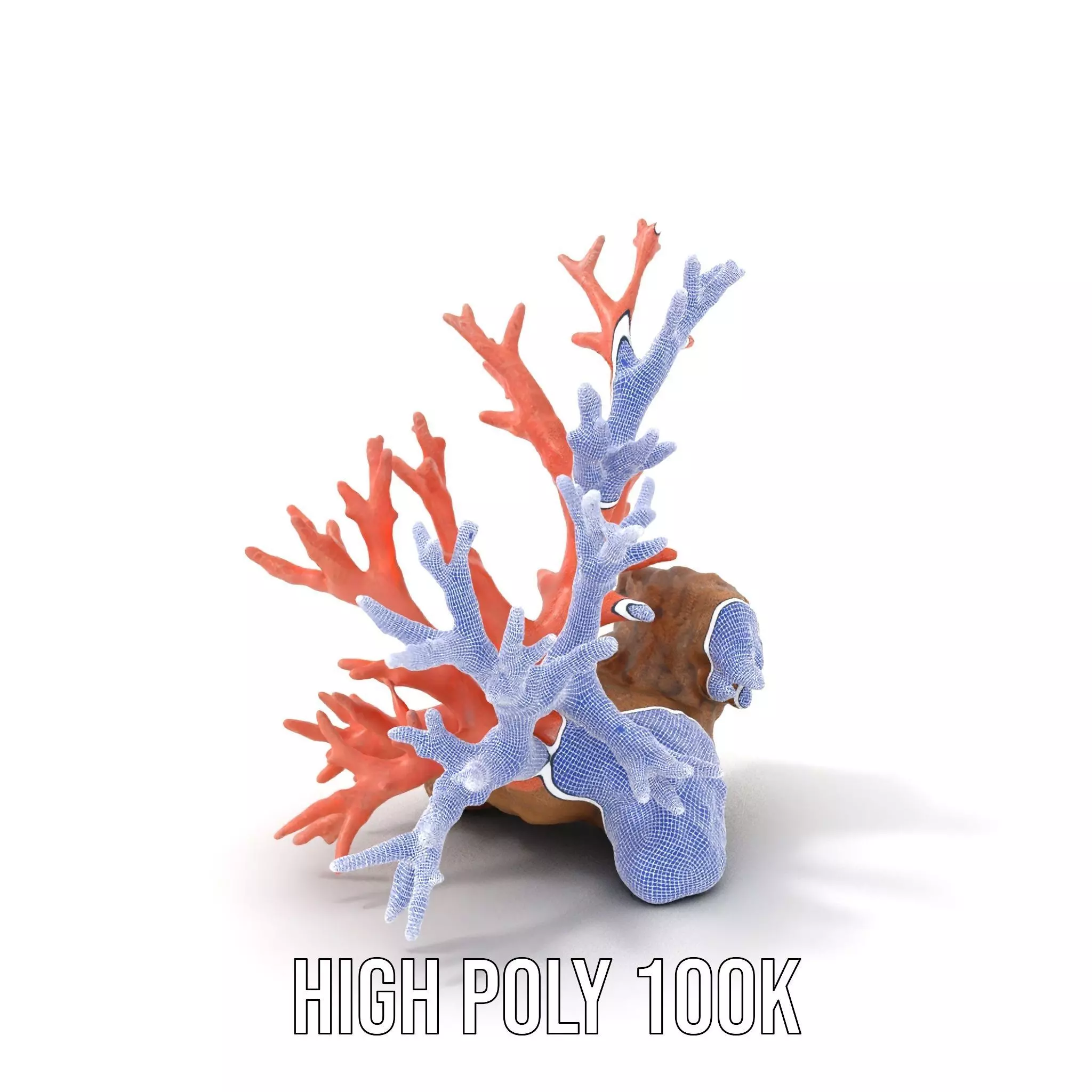Pink Coral Reef model pack Low-poly 3D model_4