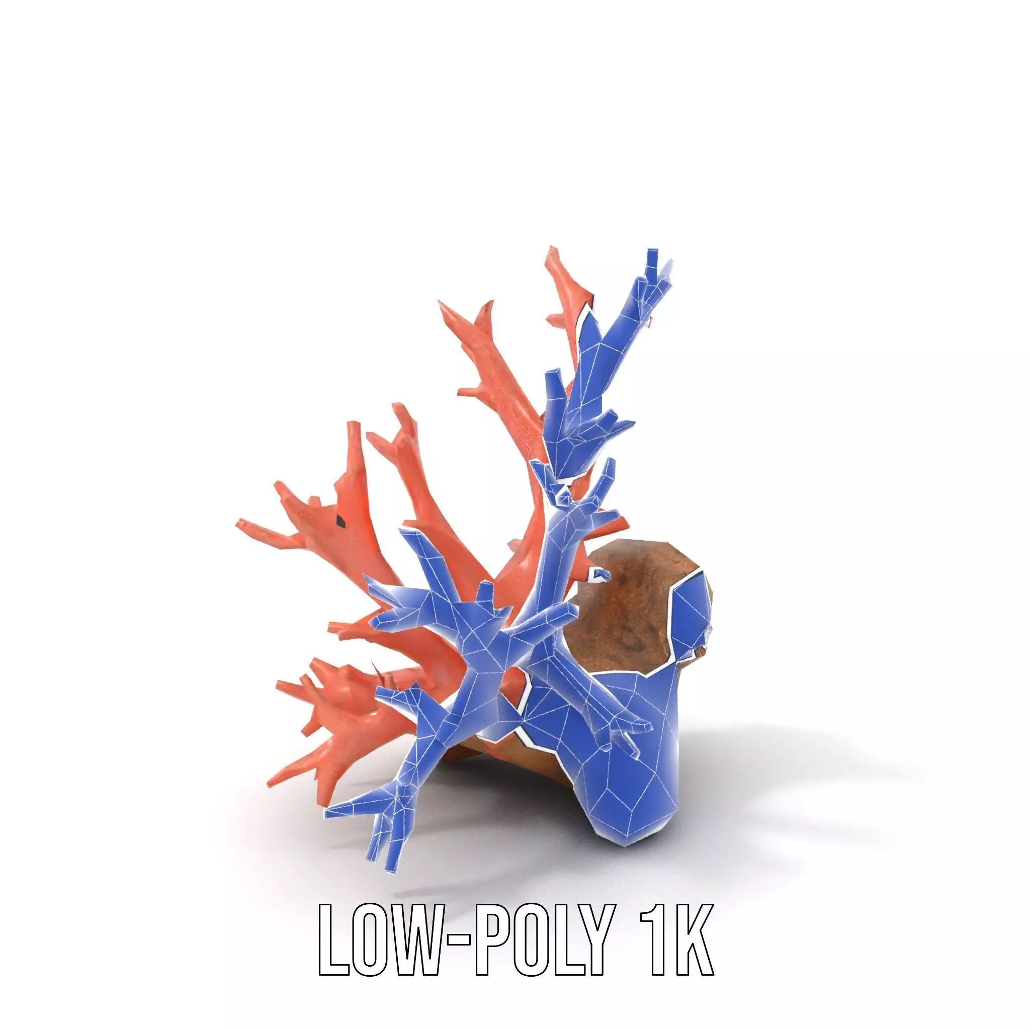 Pink Coral Reef model pack Low-poly 3D model_31