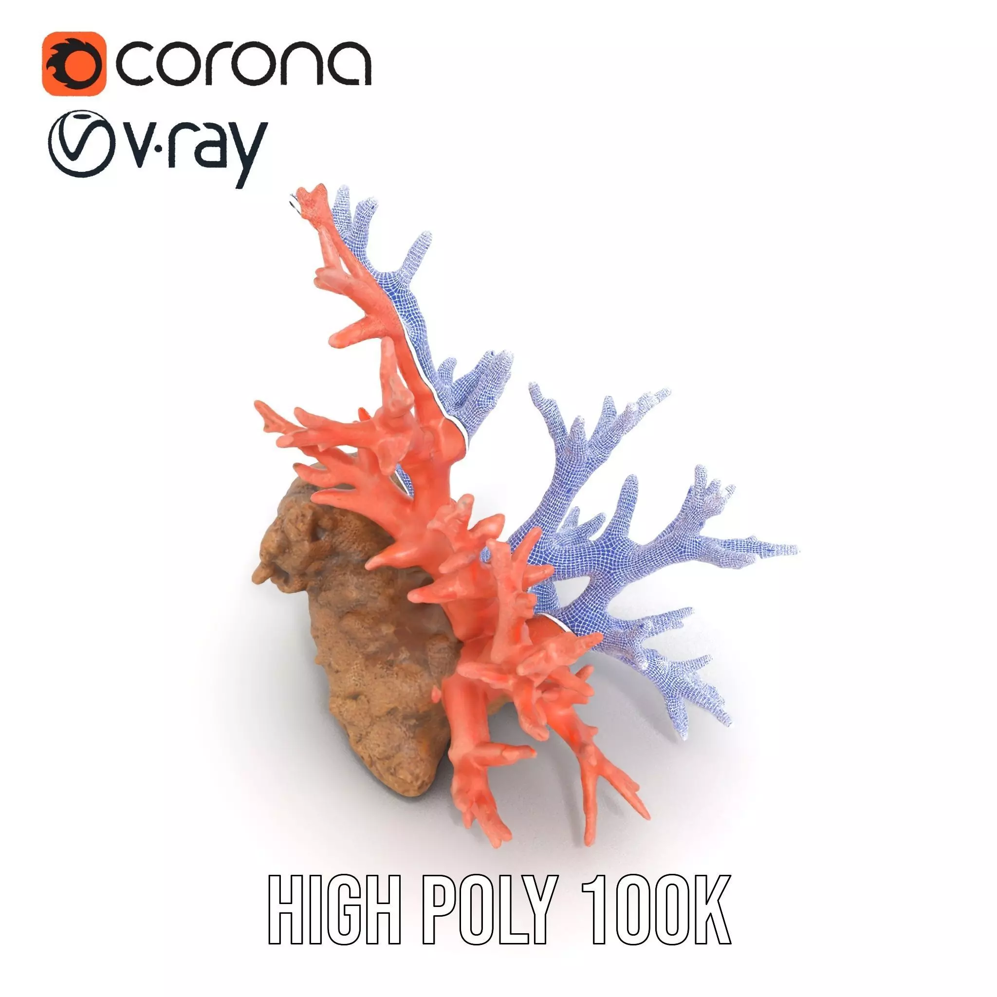 Pink Coral Reef model pack Low-poly 3D model_33