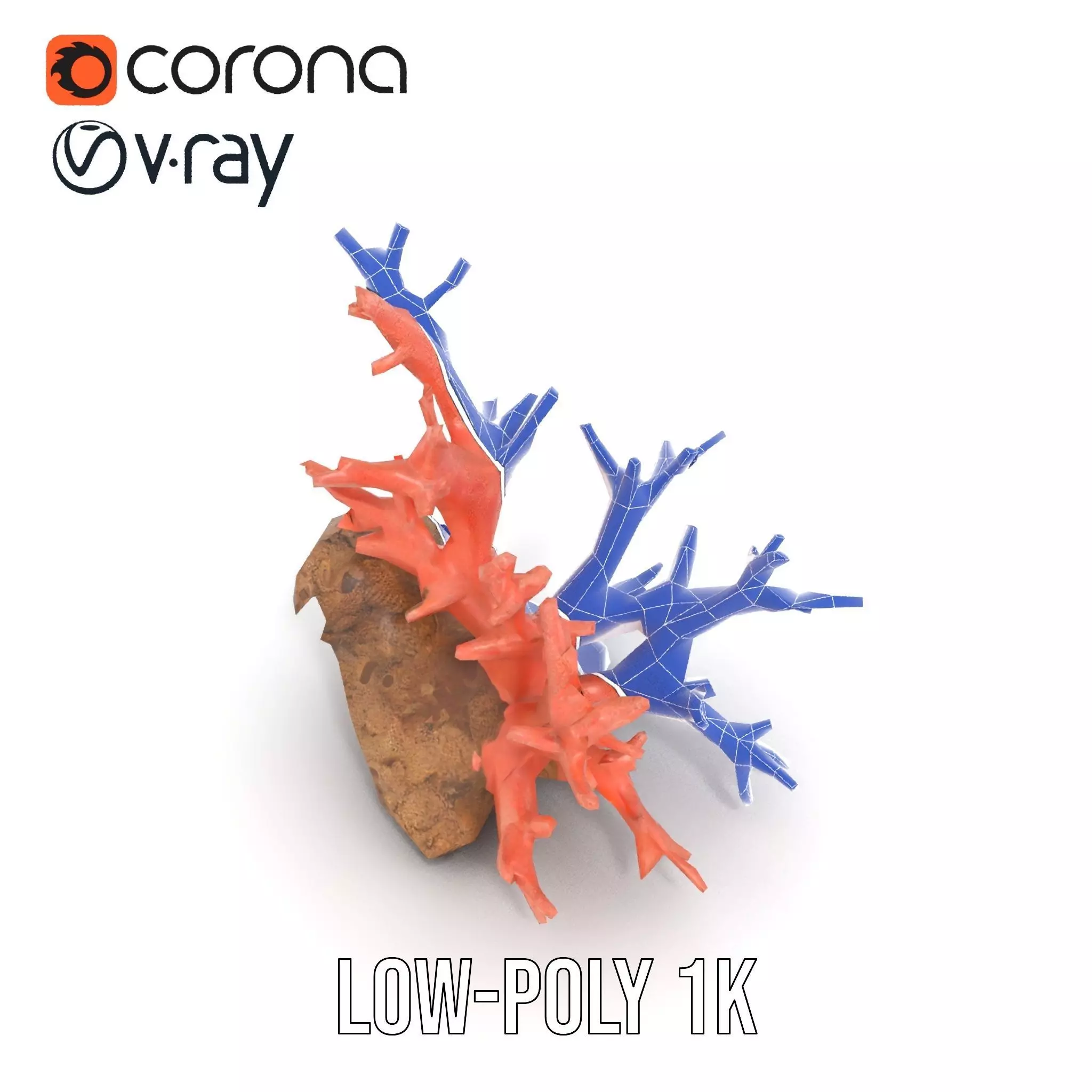 Pink Coral Reef model pack Low-poly 3D model_28