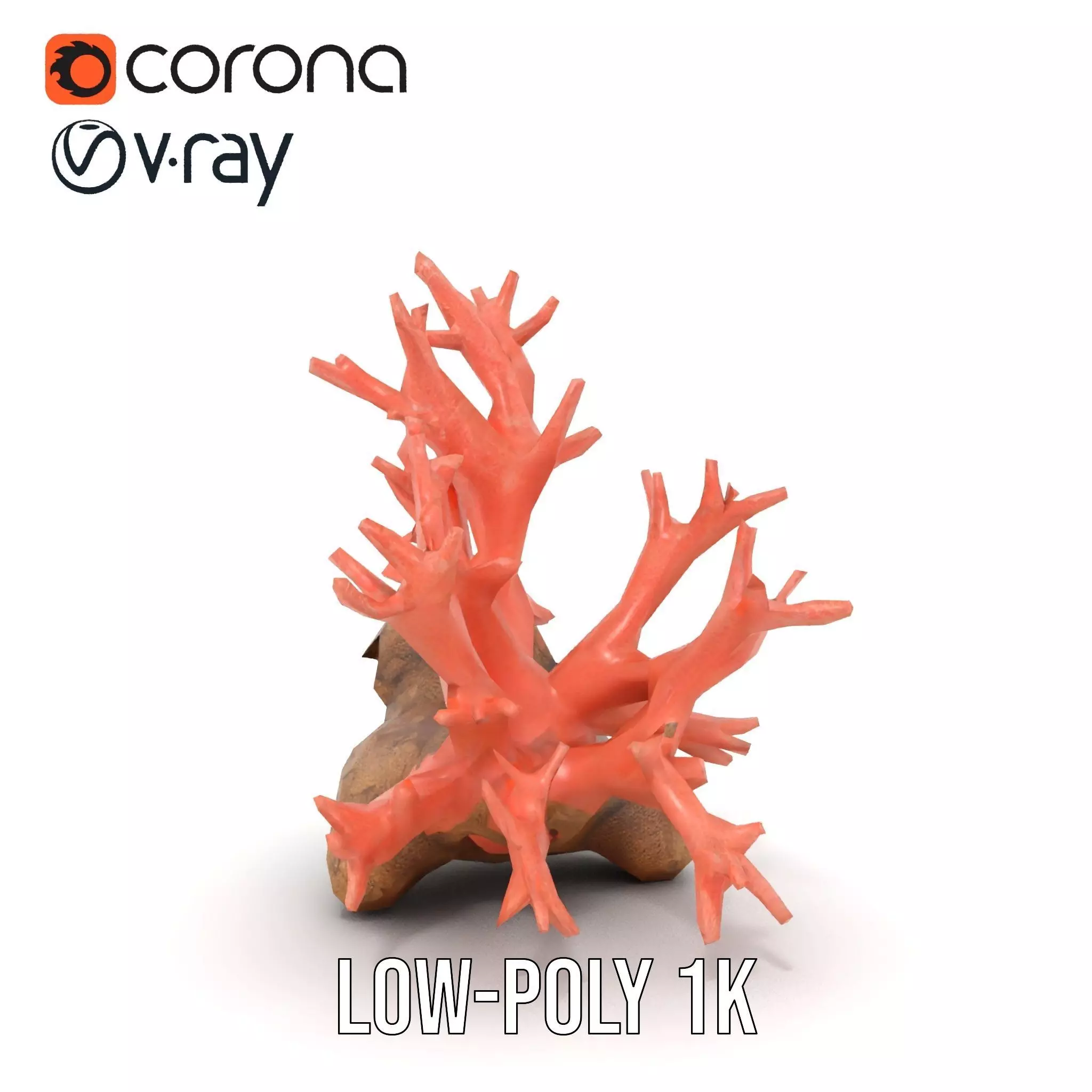 Pink Coral Reef model pack Low-poly 3D model_14