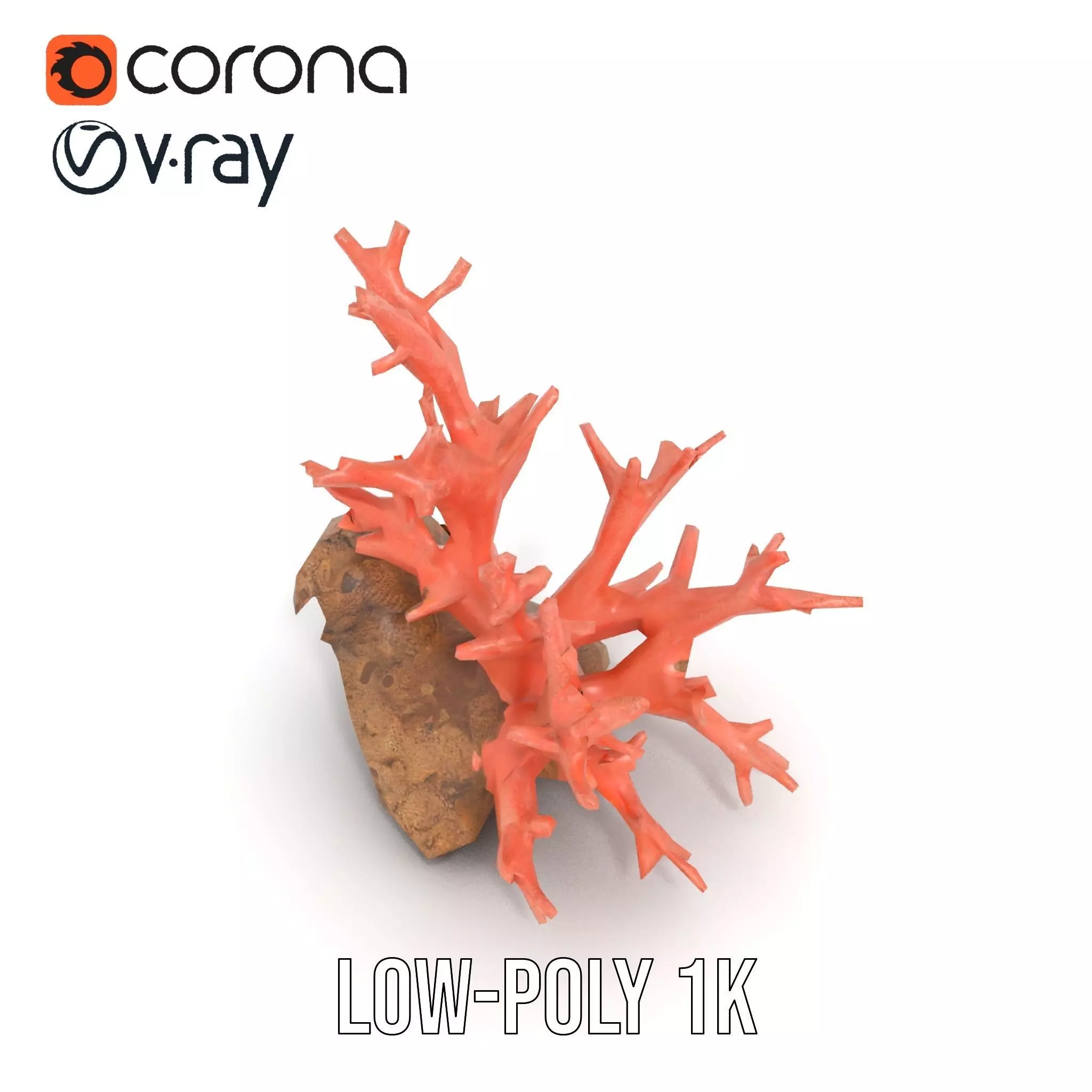 Pink Coral Reef model pack Low-poly 3D model_17