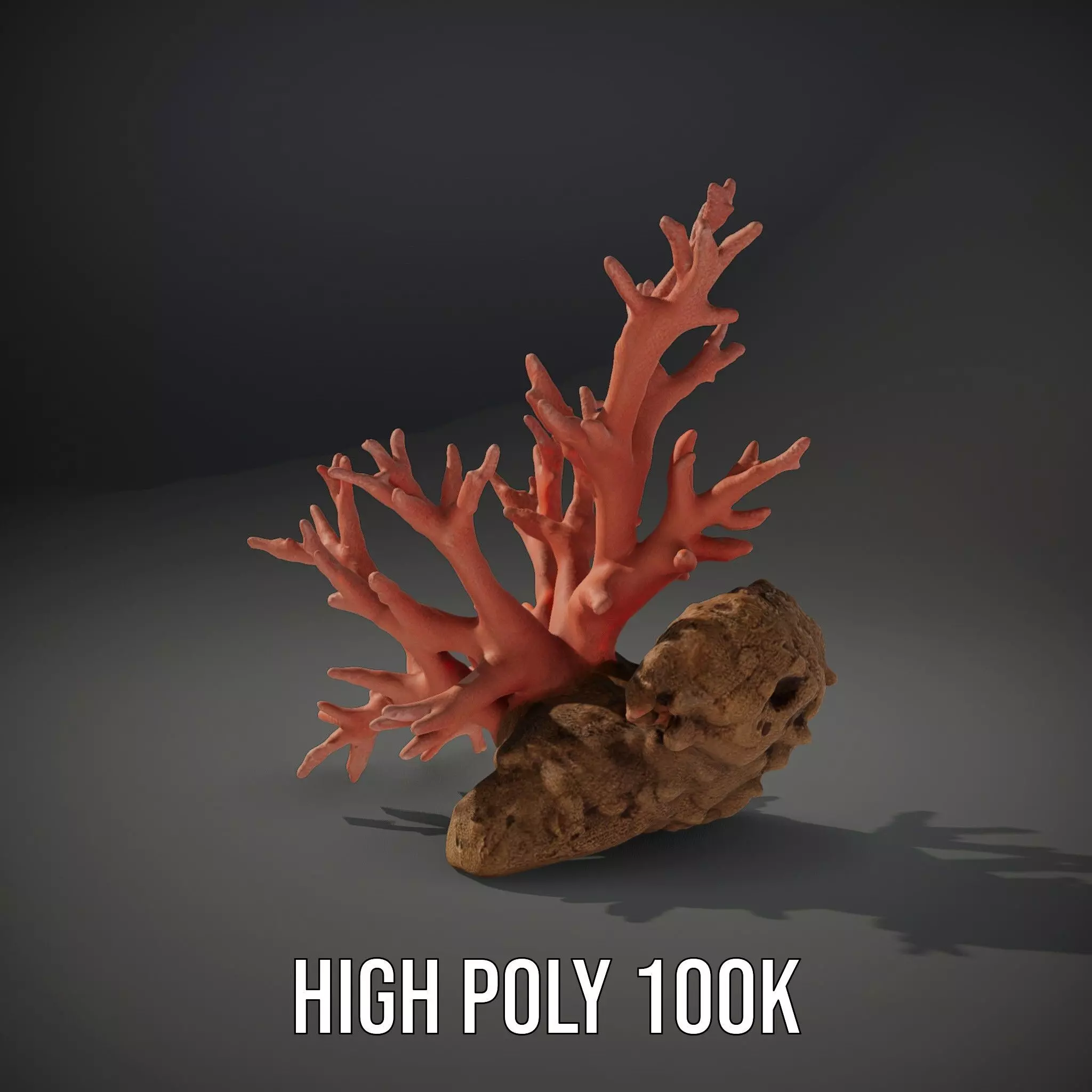 Pink Coral Reef model pack Low-poly 3D model_10