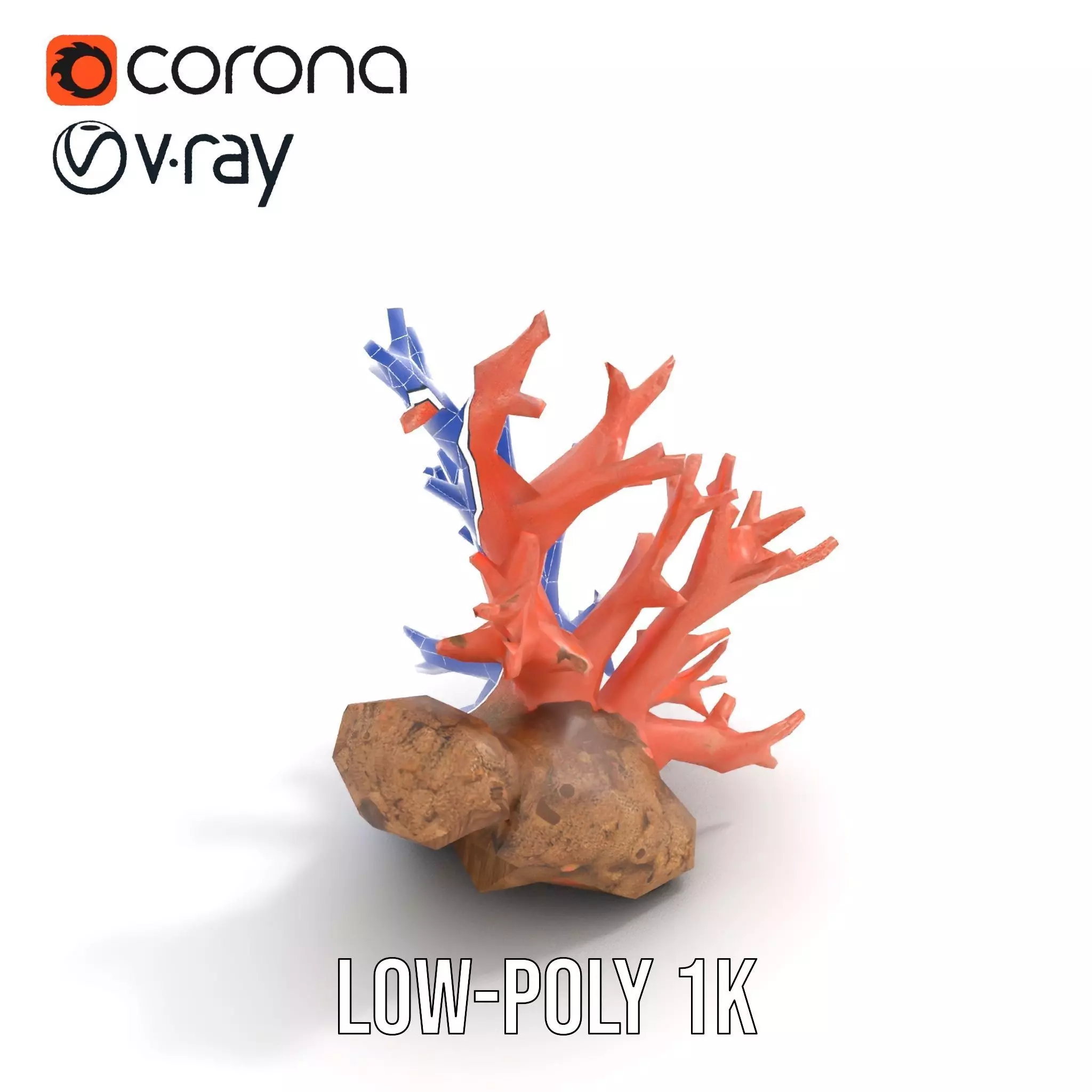 Pink Coral Reef model pack Low-poly 3D model_20