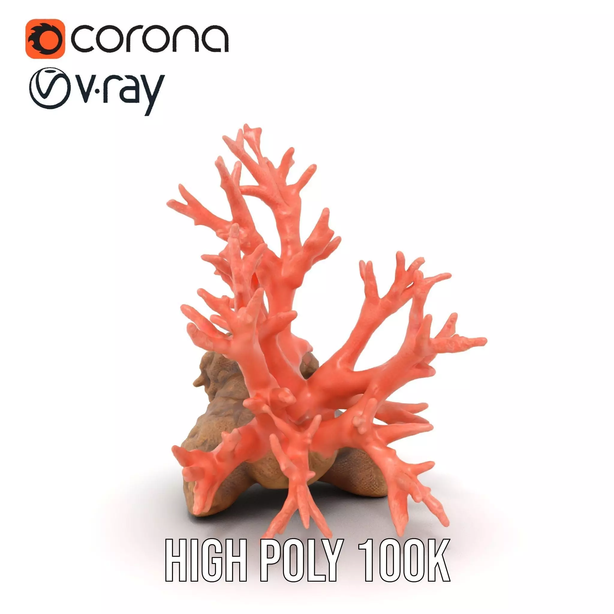 Pink Coral Reef model pack Low-poly 3D model_15