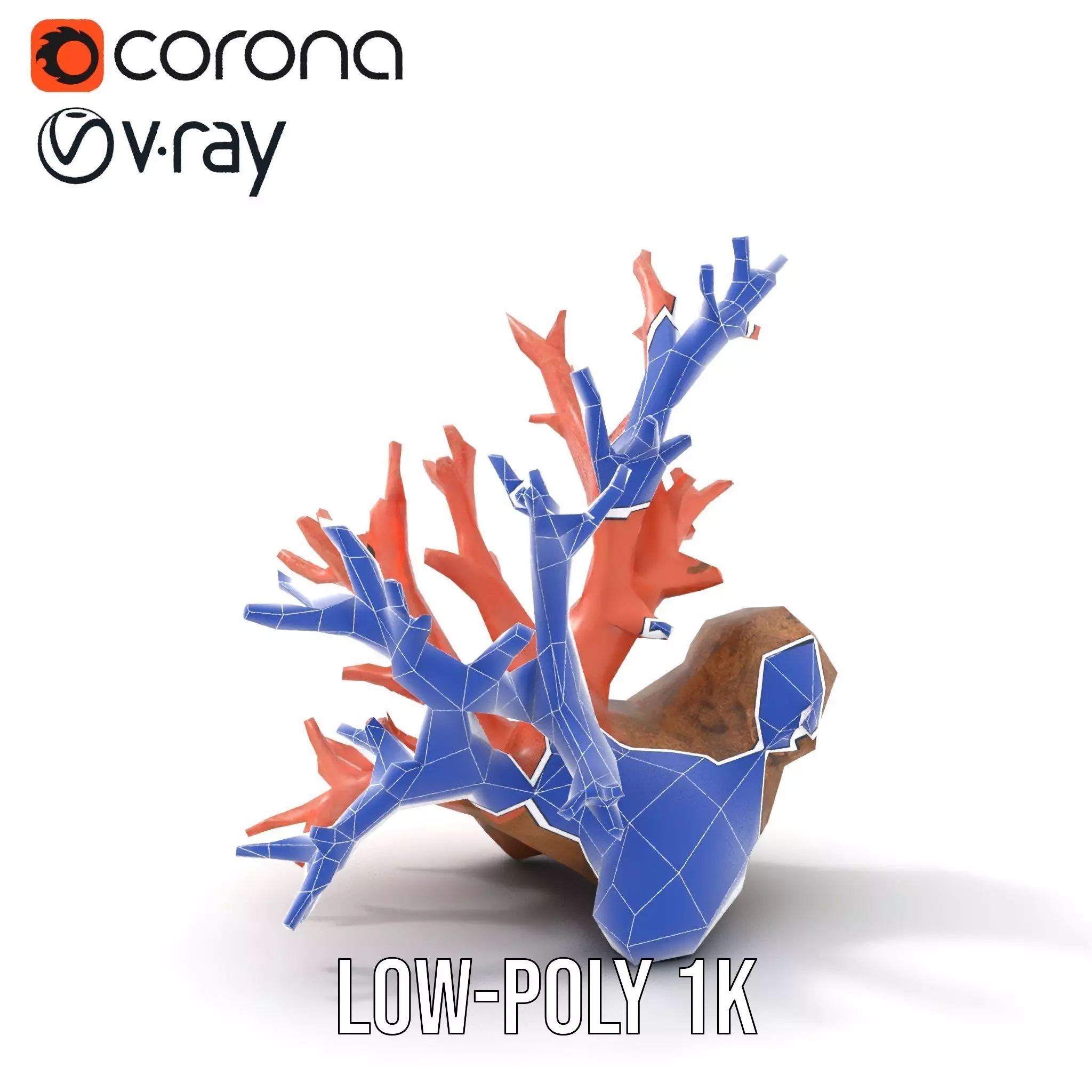 Pink Coral Reef model pack Low-poly 3D model_12