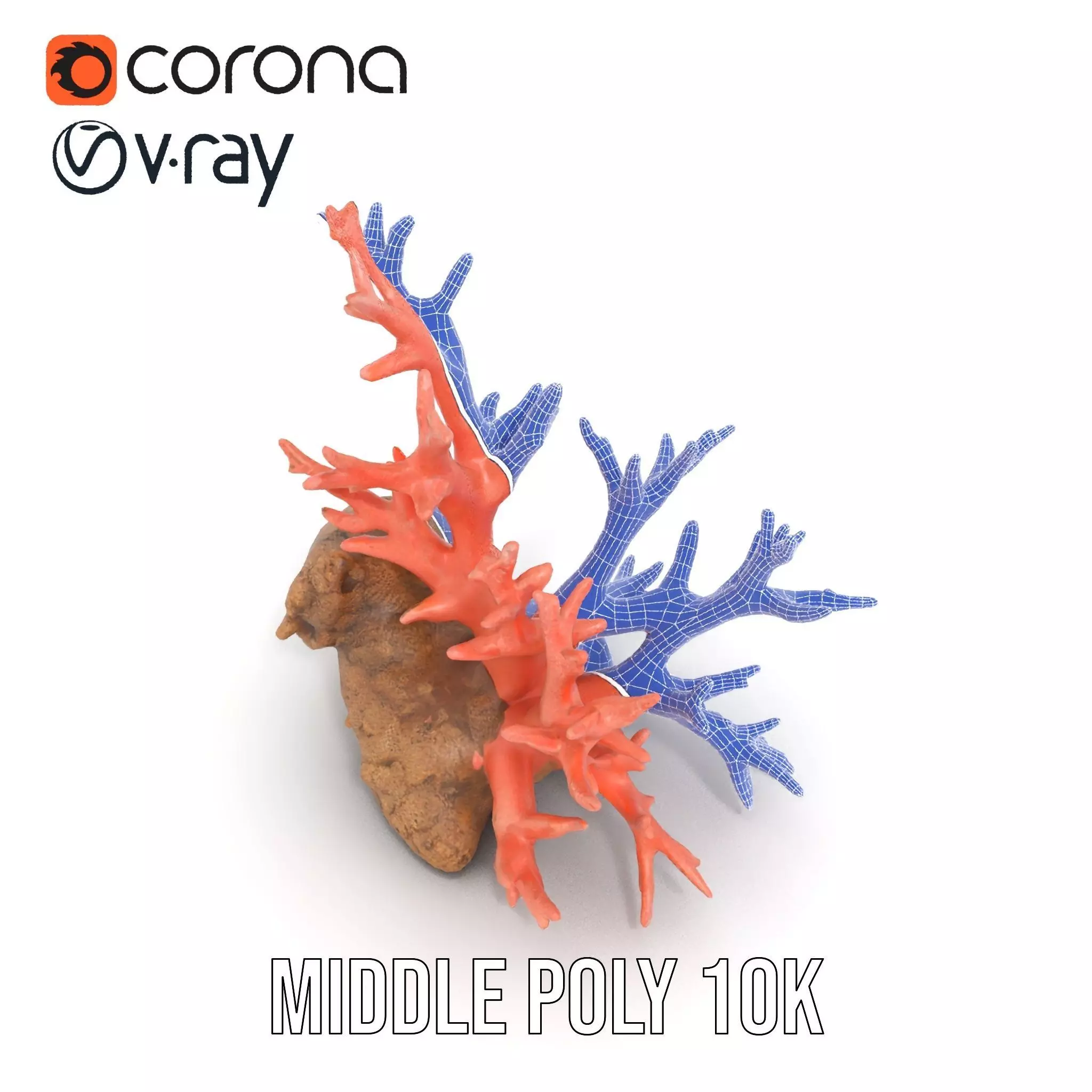 Pink Coral Reef model pack Low-poly 3D model_19