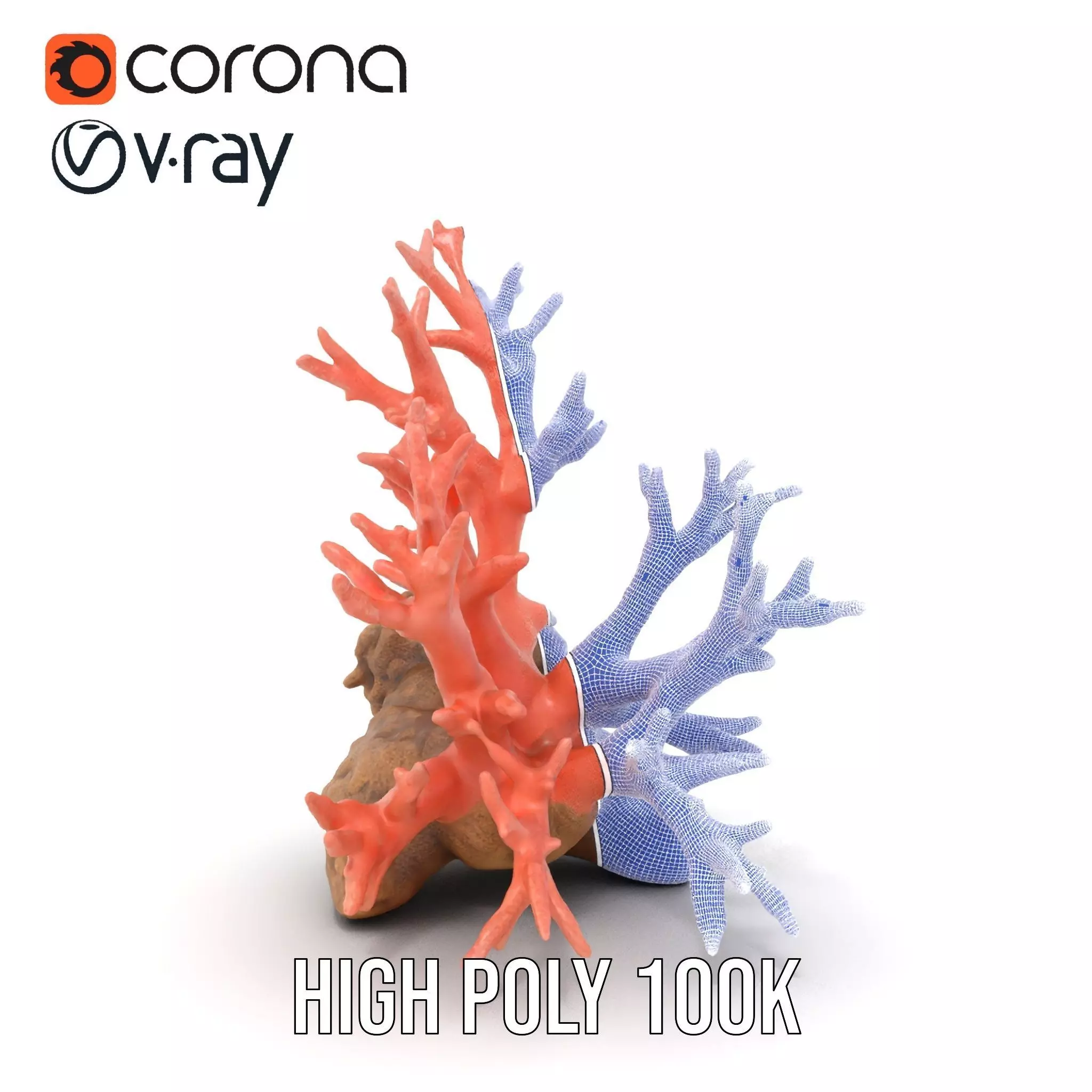 Pink Coral Reef model pack Low-poly 3D model_29
