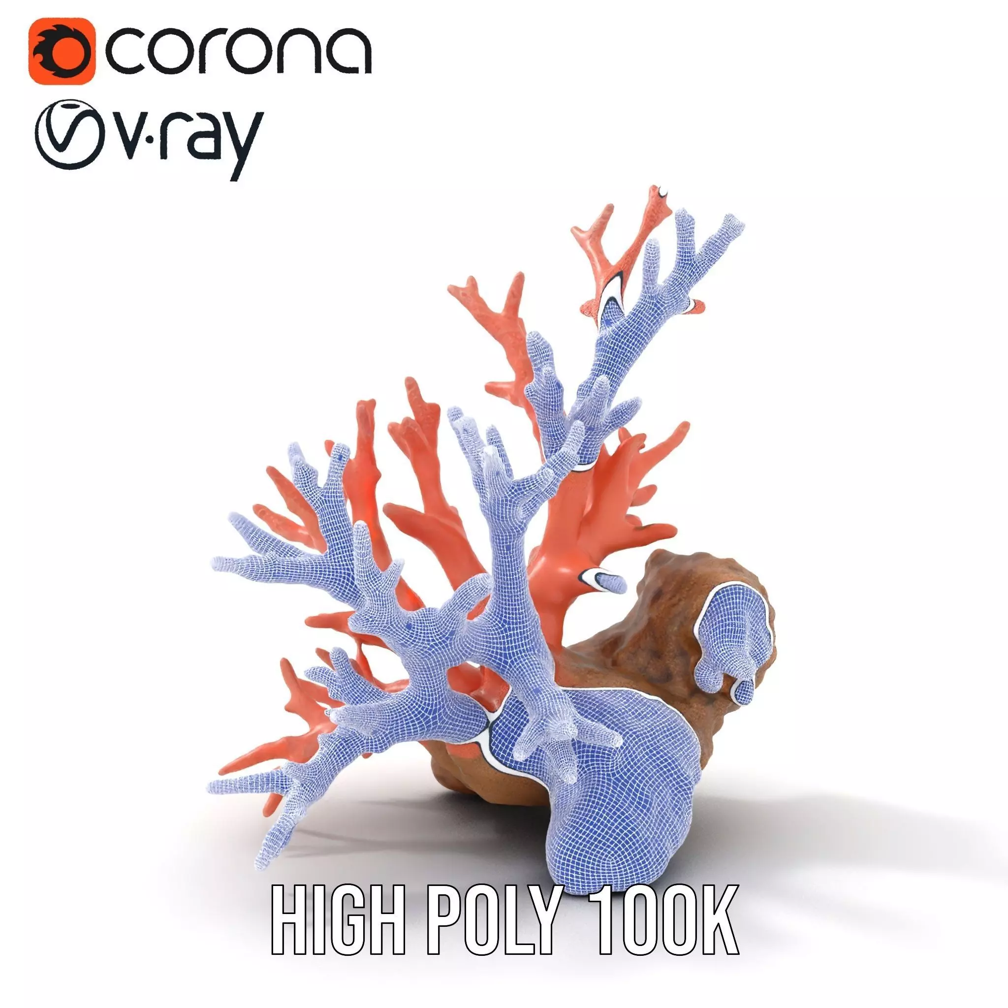 Pink Coral Reef model pack Low-poly 3D model_34