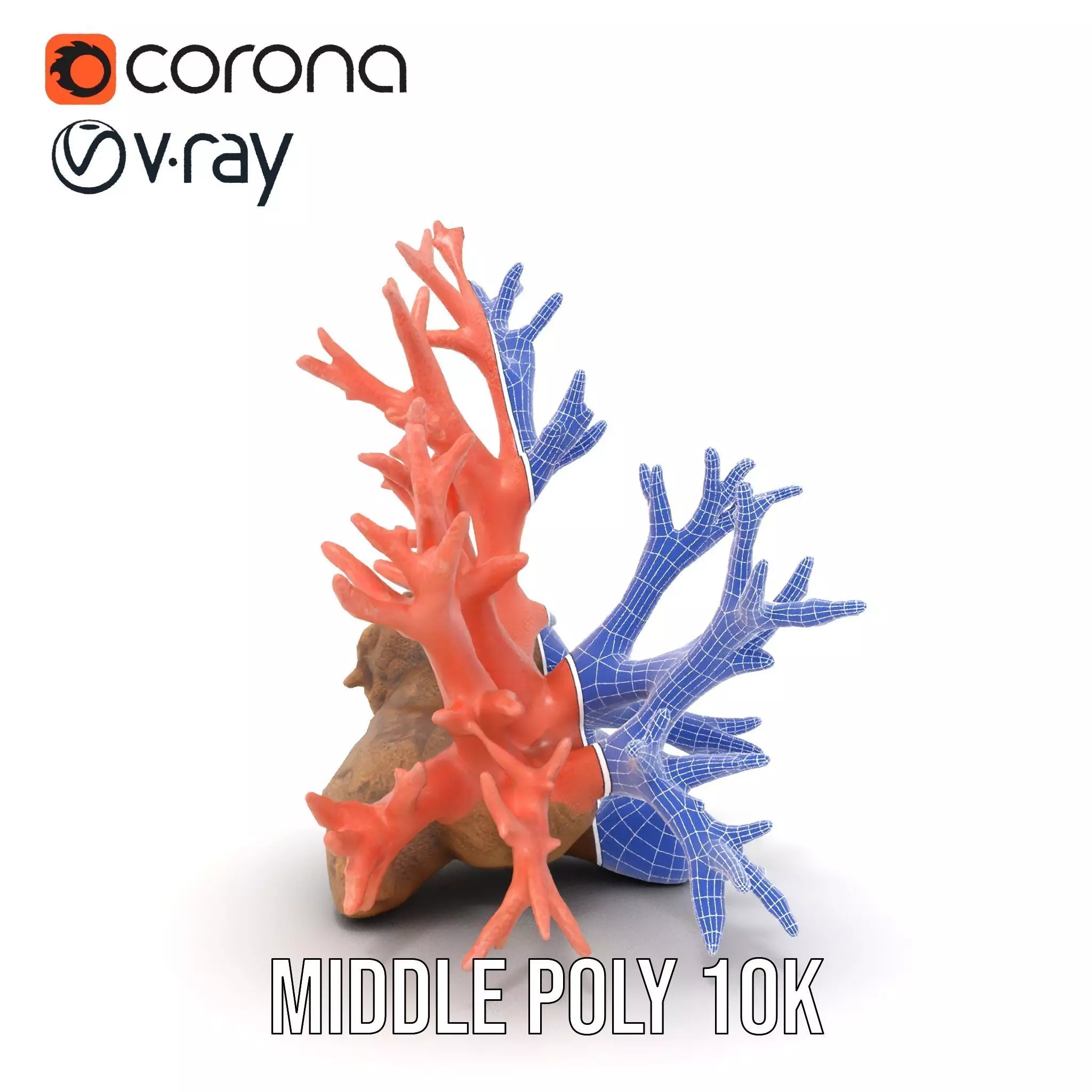 Pink Coral Reef model pack Low-poly 3D model_27