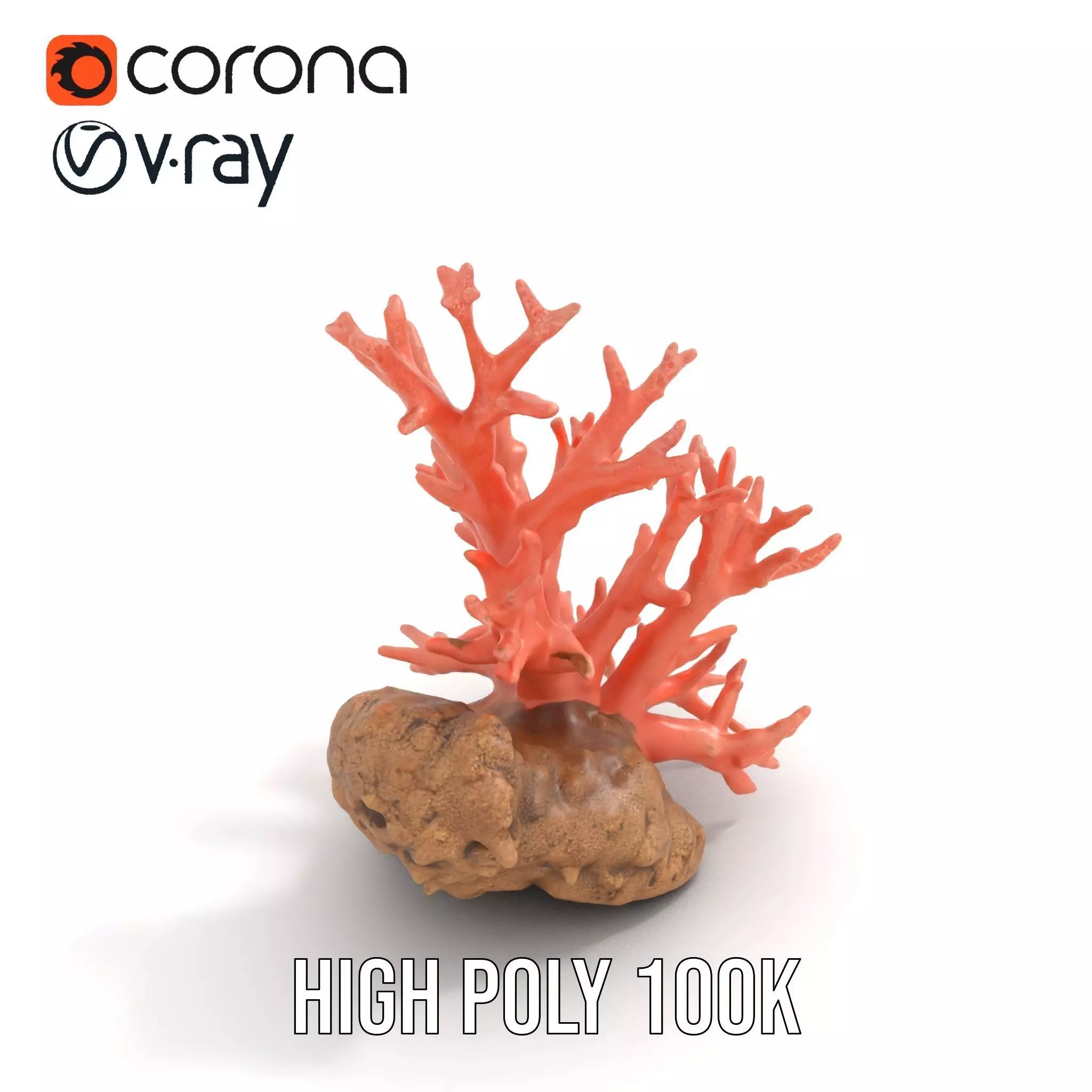 Pink Coral Reef model pack Low-poly 3D model_26