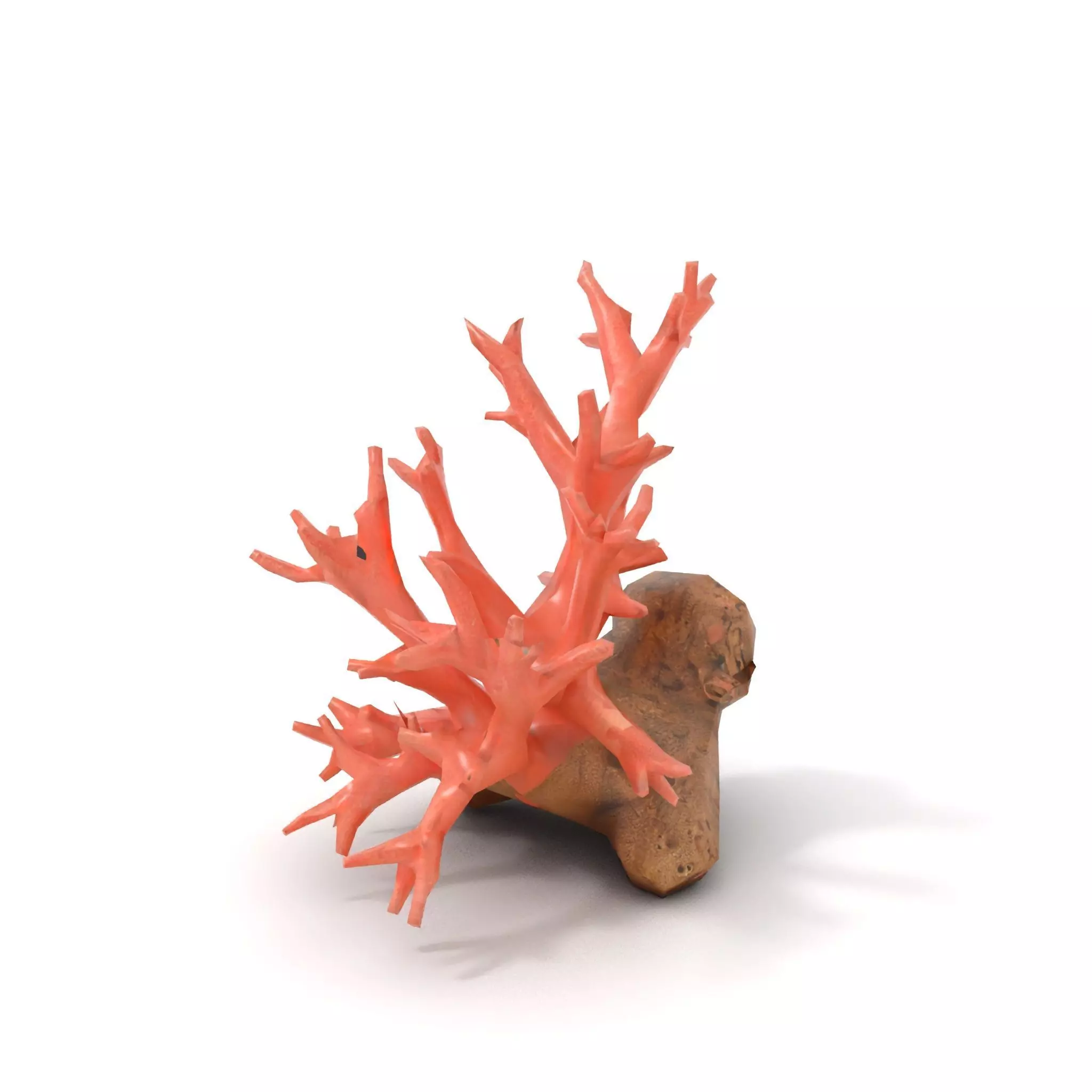 Pink Coral Reef model pack Low-poly 3D model_7