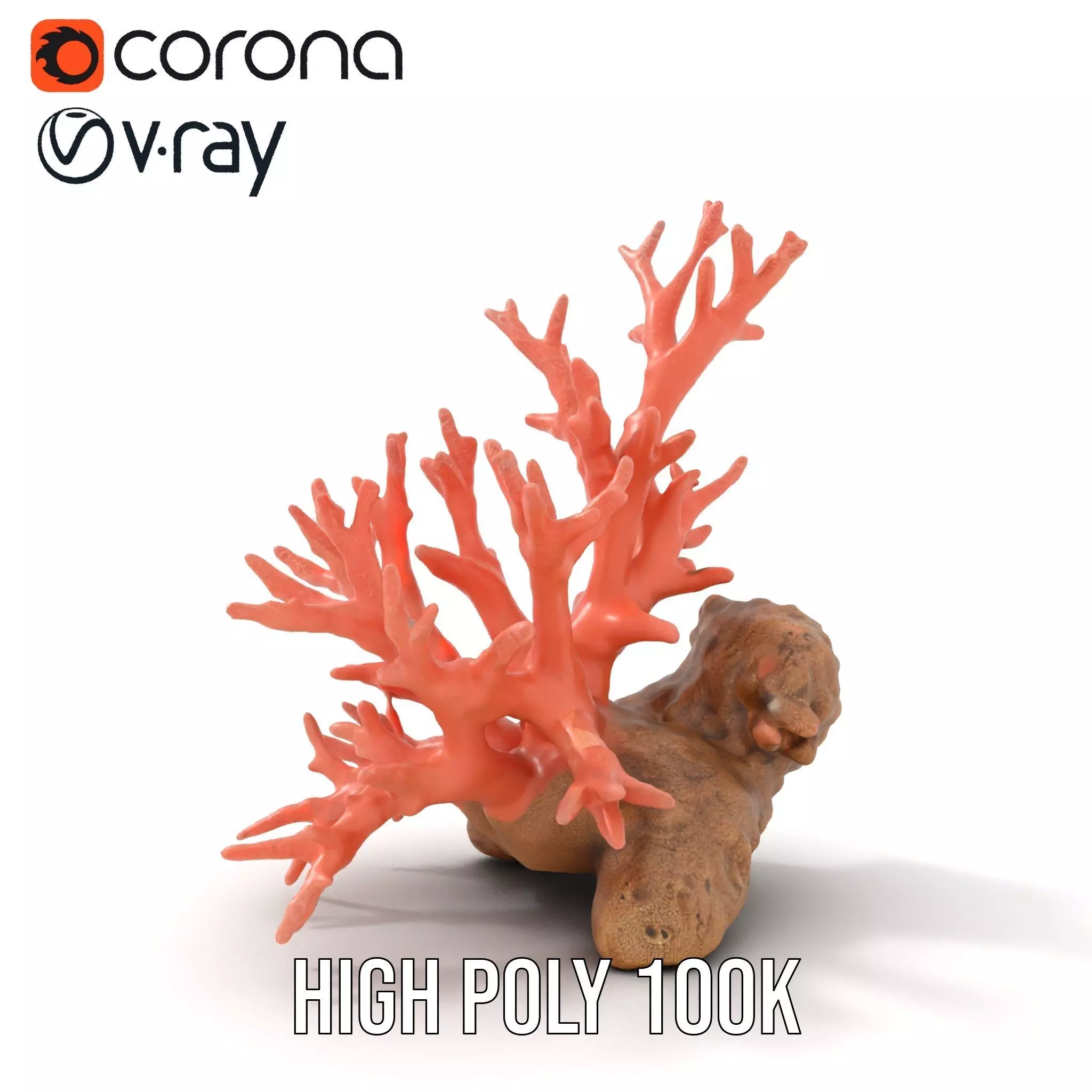 Pink Coral Reef model pack Low-poly 3D model_21
