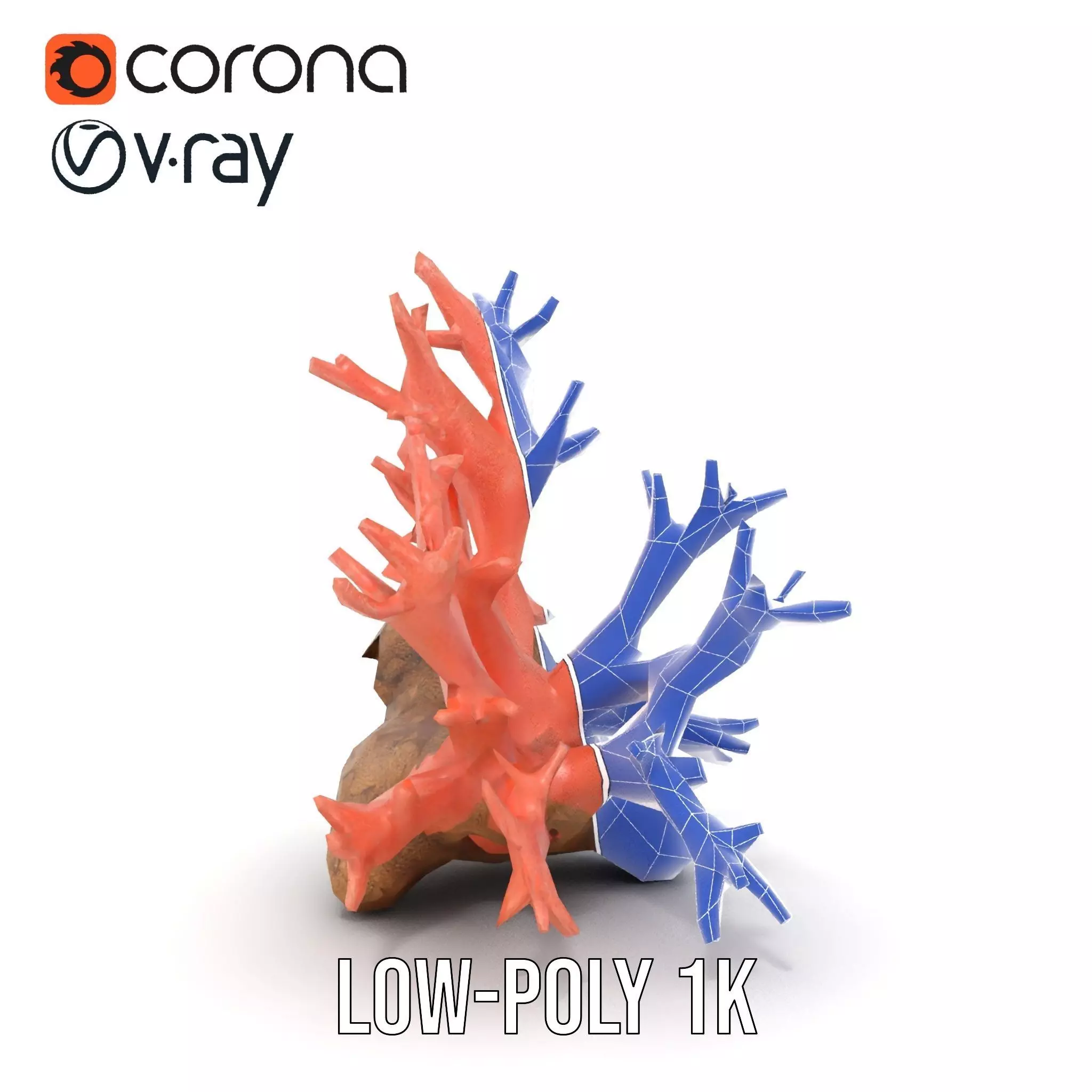 Pink Coral Reef model pack Low-poly 3D model_25